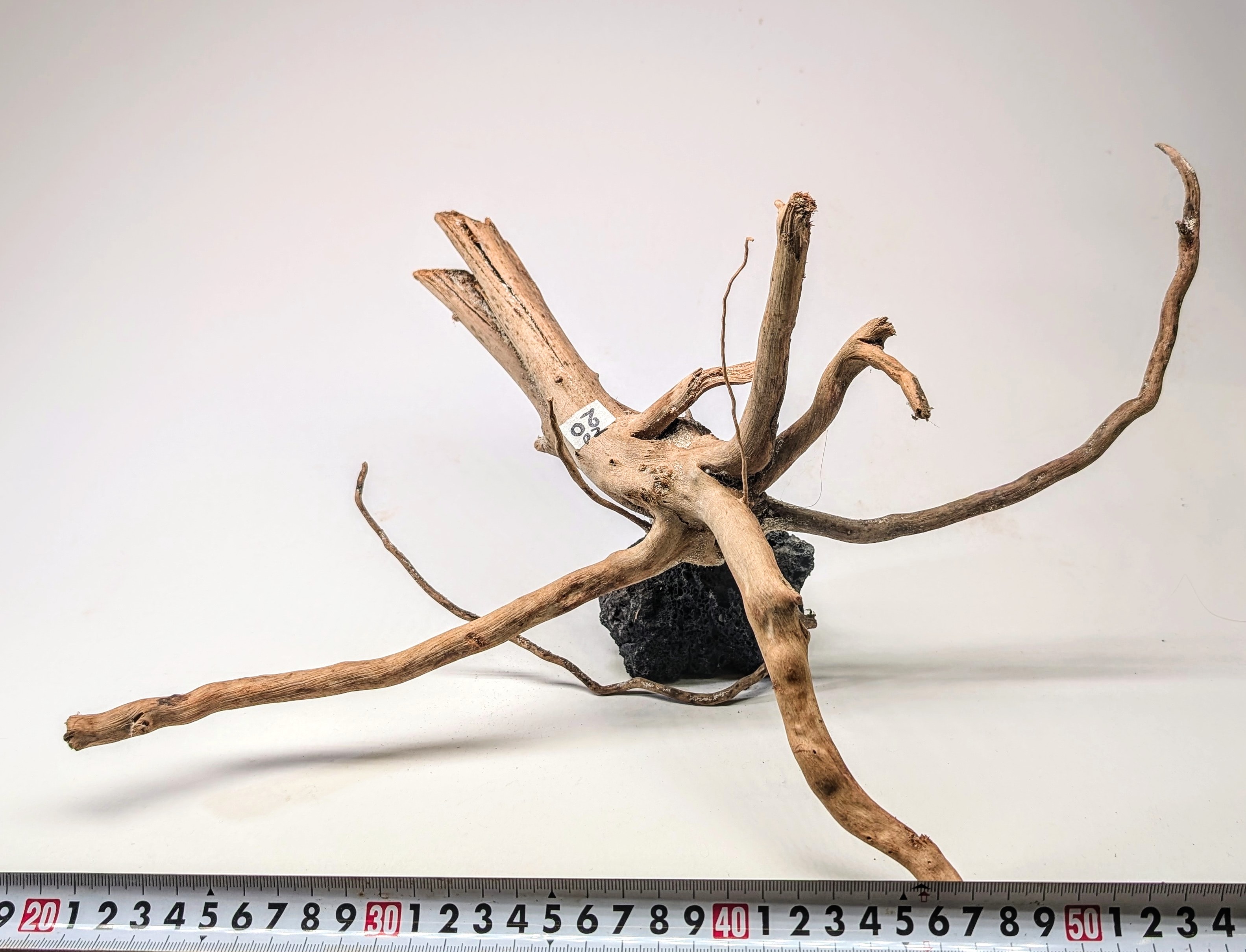 Aquarium gold vine driftwood L size 25-40cm