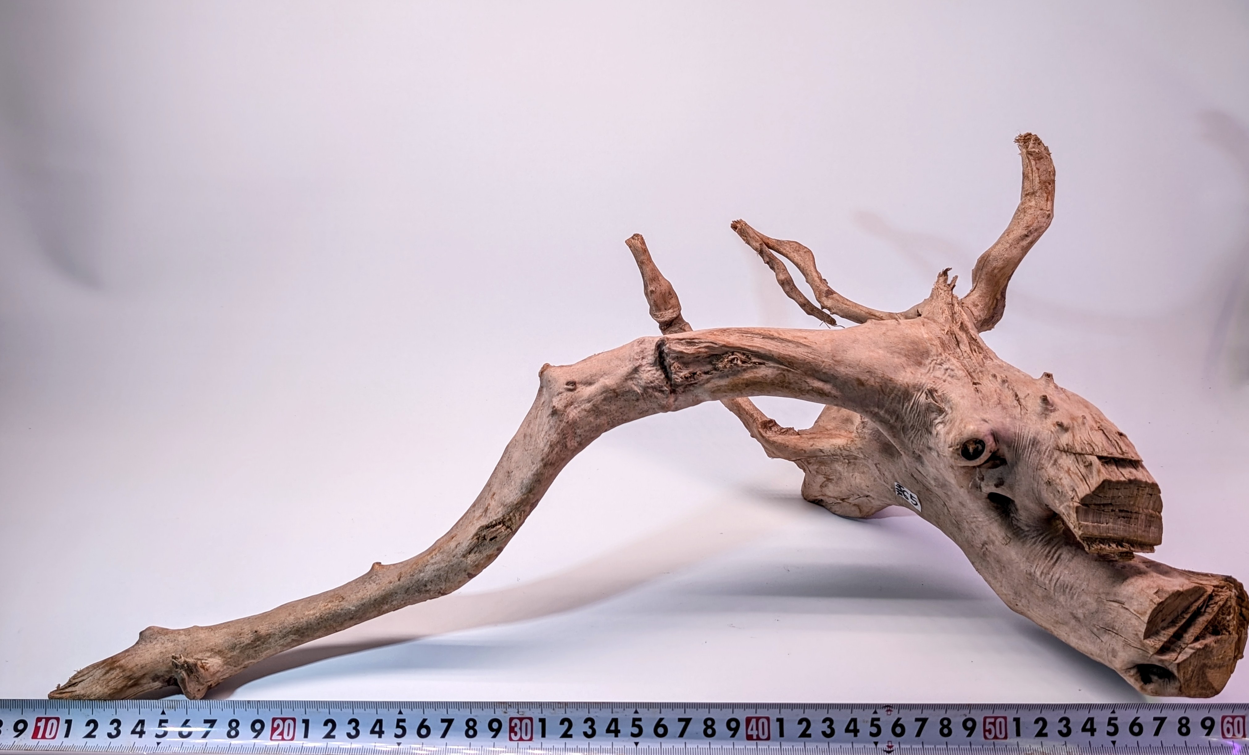 Aquarium Gold Vine driftwood  XL 40-60cm