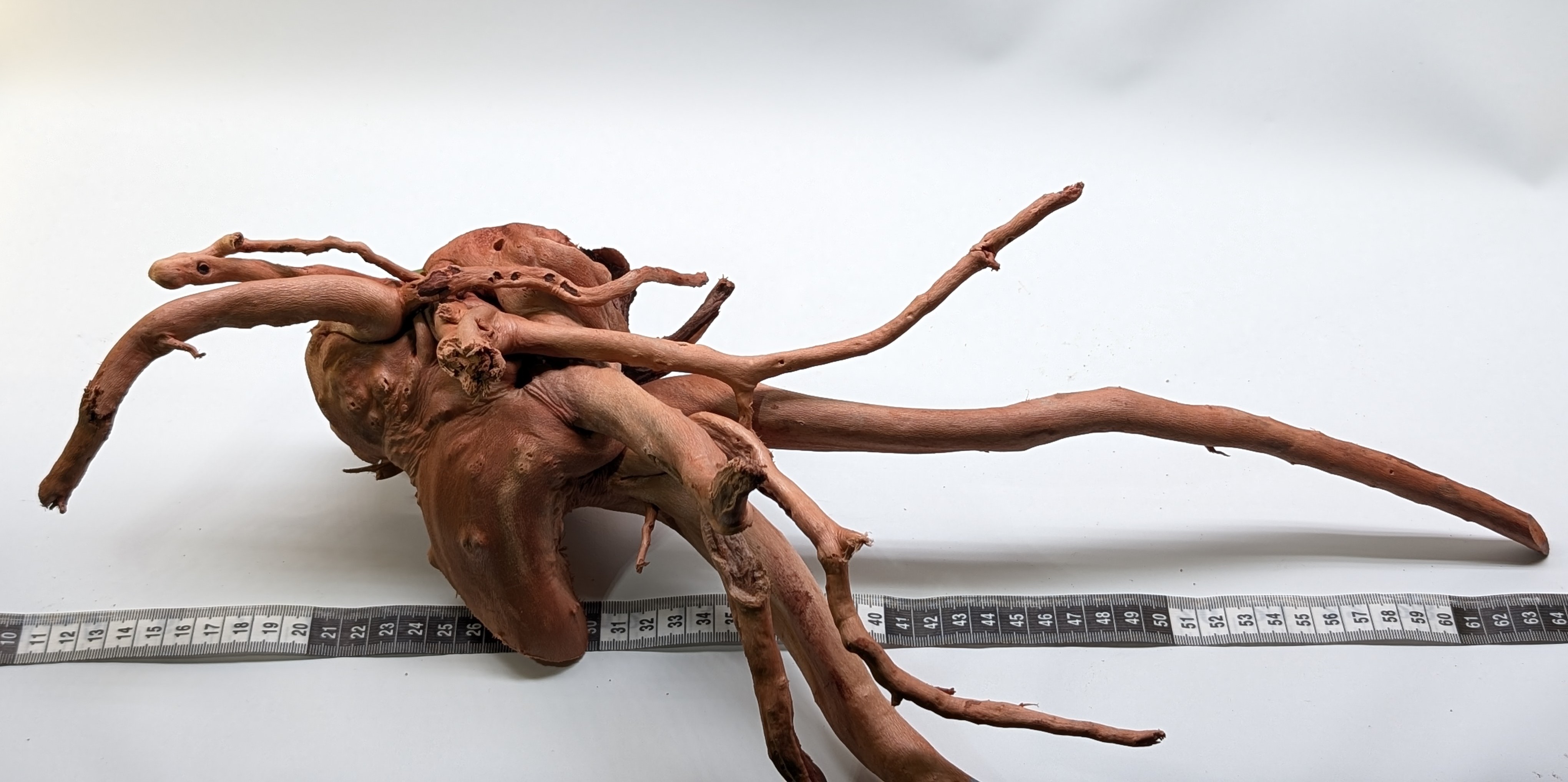 Aquarium Gold Vine driftwood  XL 40-60cm