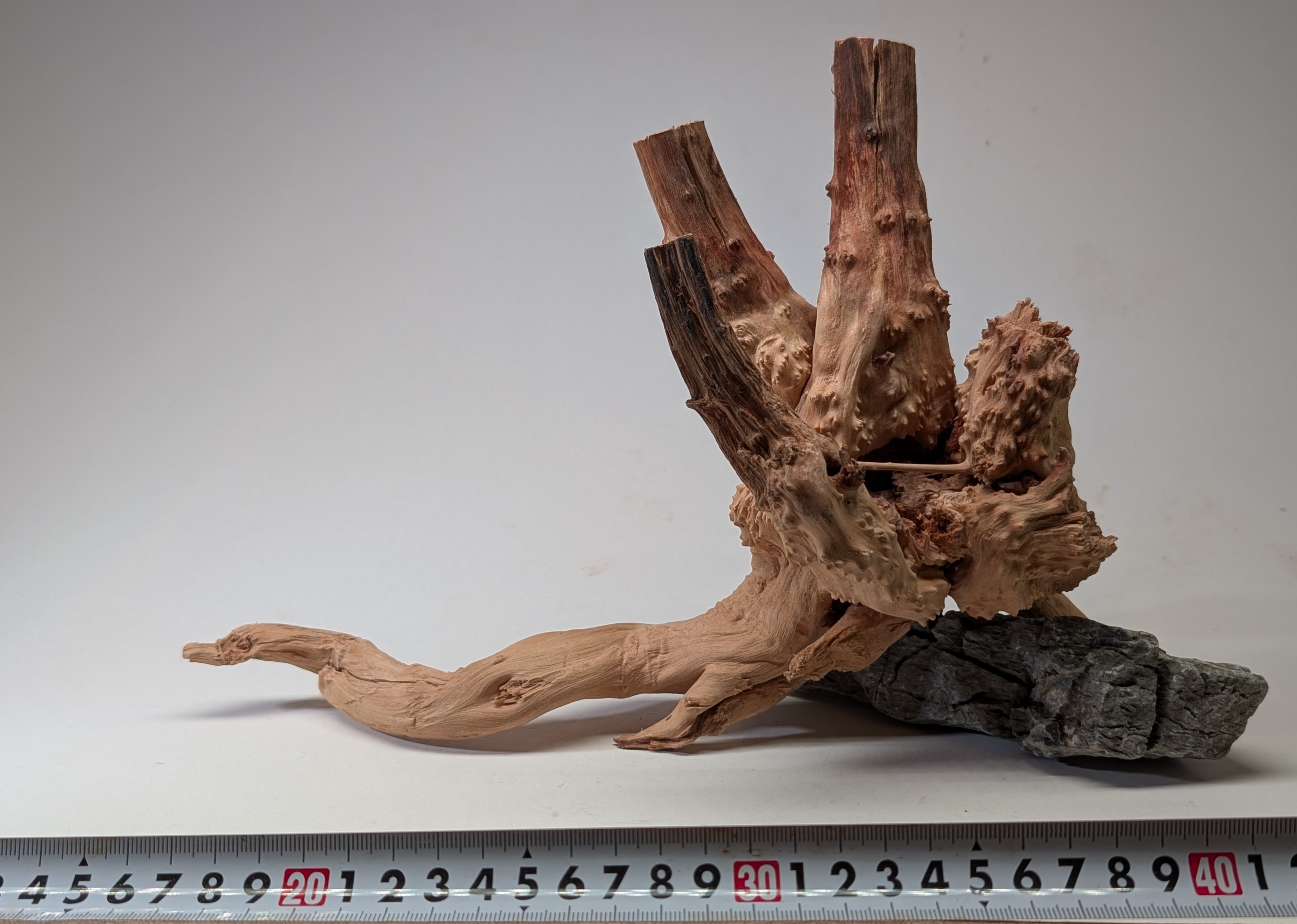 Aquarium gold vine driftwood L size 25-40cm
