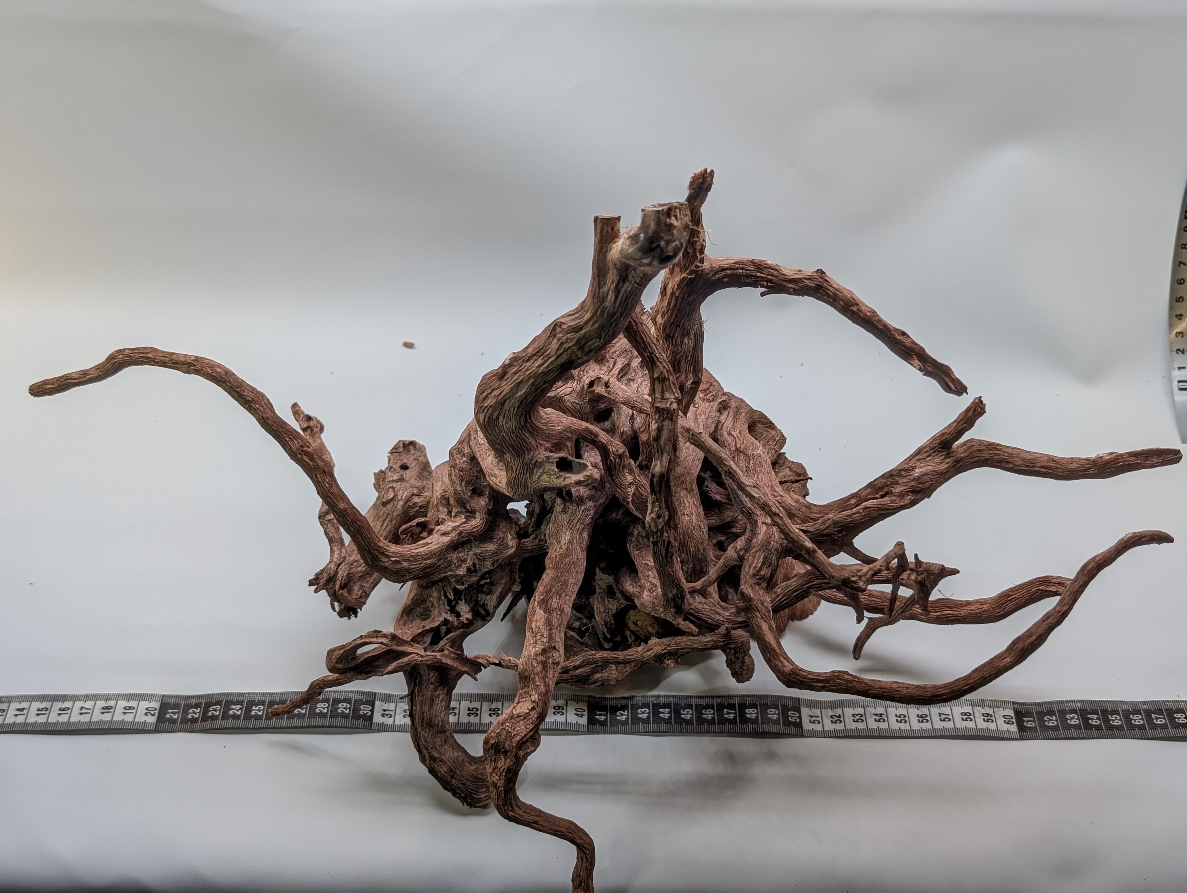 Aquarium Gold Vine driftwood jungle XL 40-60cm