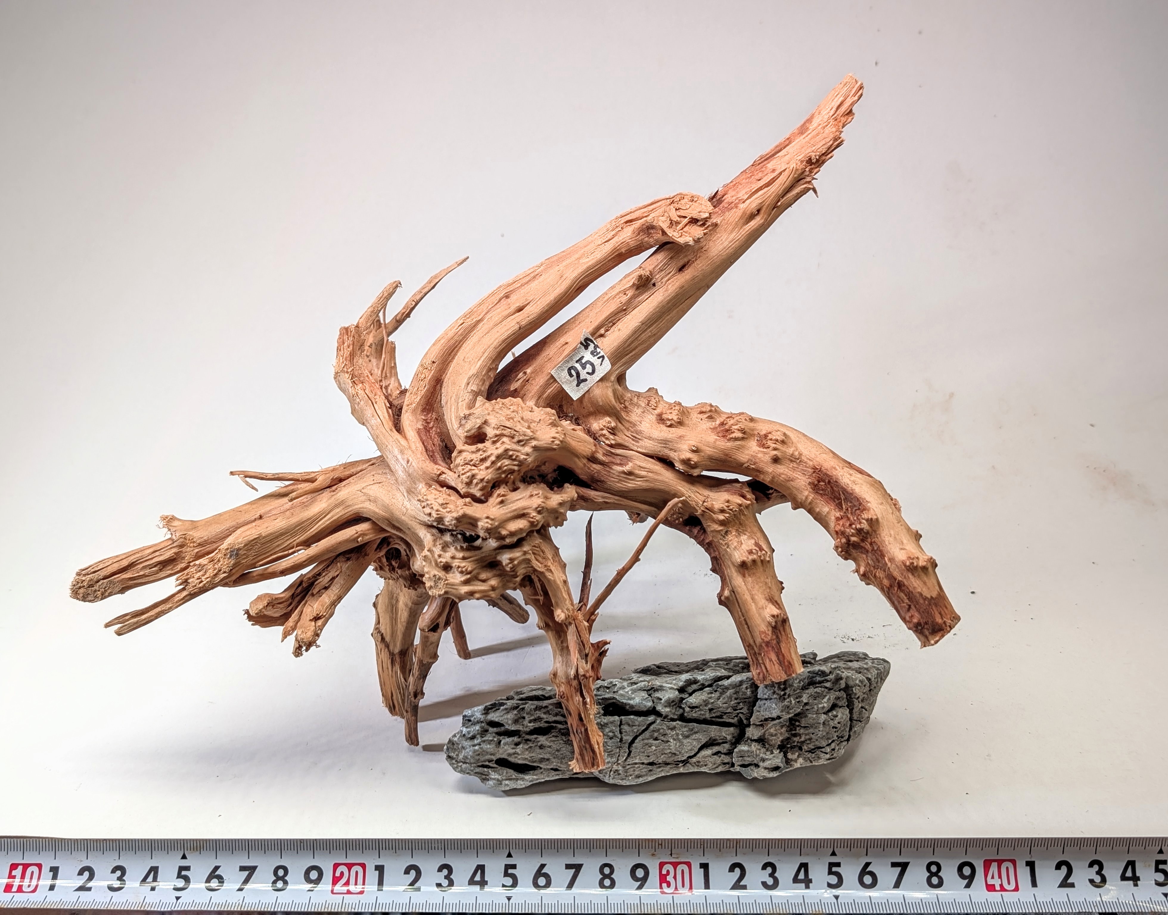 Aquarium gold vine driftwood L size 25-40cm