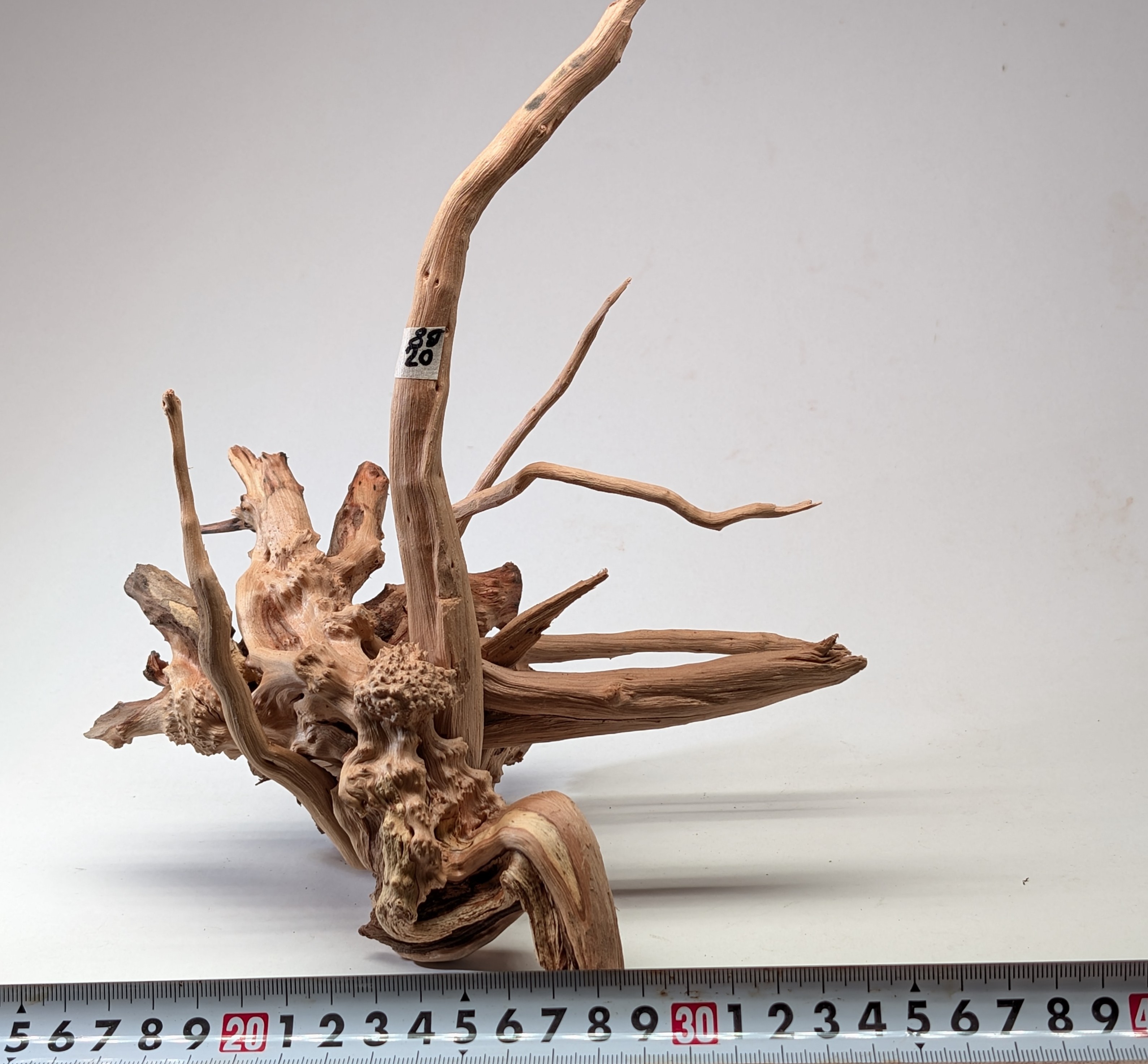 Aquarium gold vine driftwood L size 25-40cm