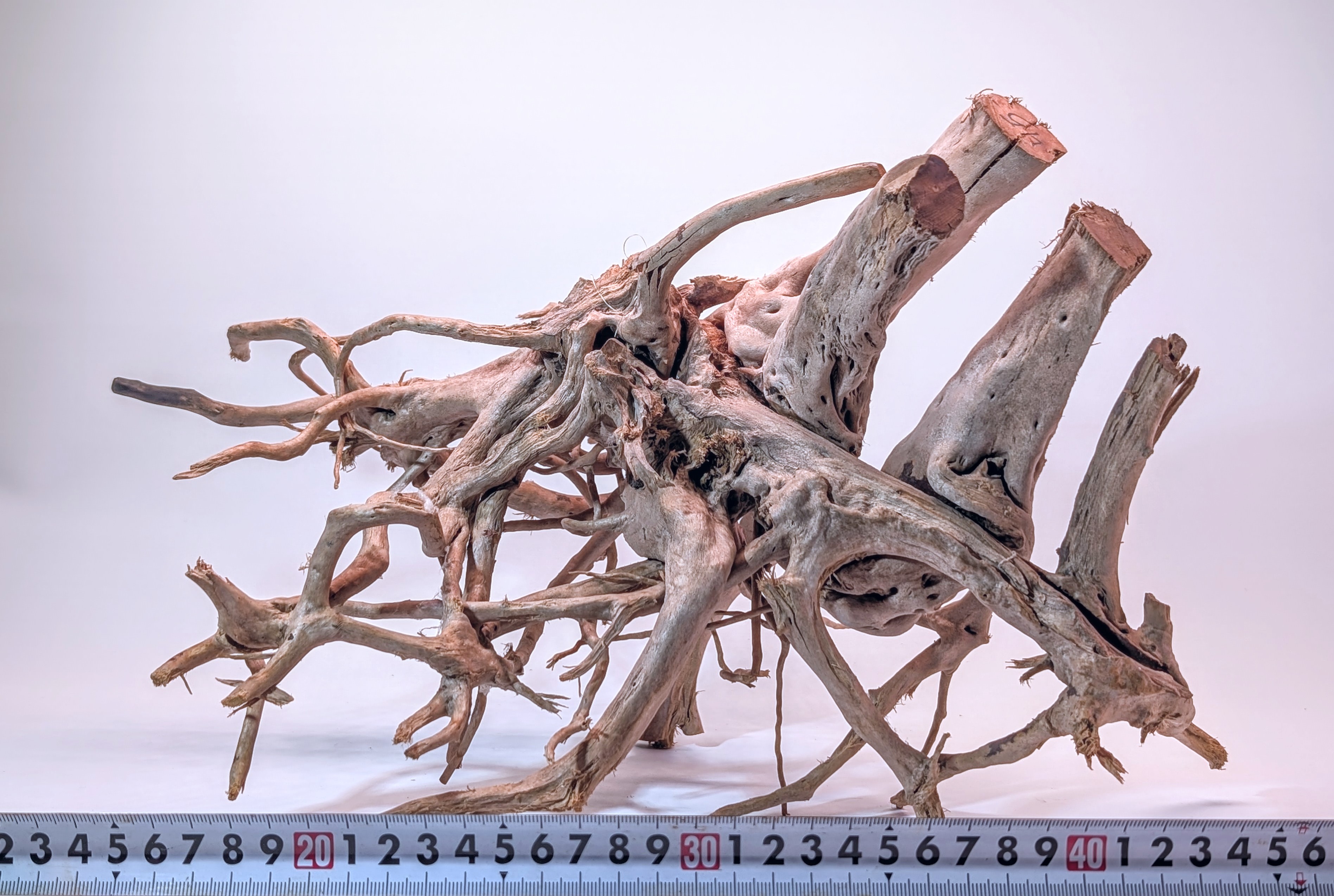 Aquarium Gold Vine driftwood XL 40-60cm