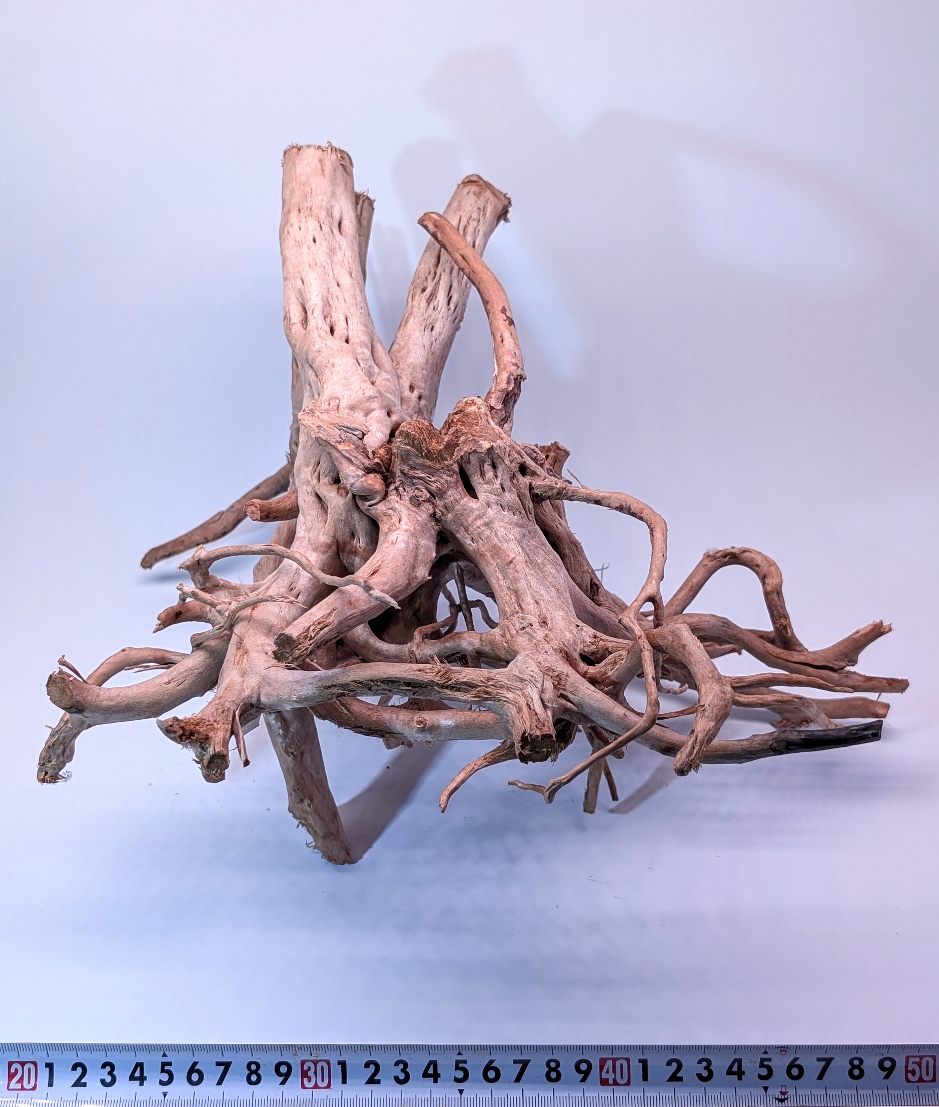 Aquarium Gold Vine driftwood  XL 40-60cm