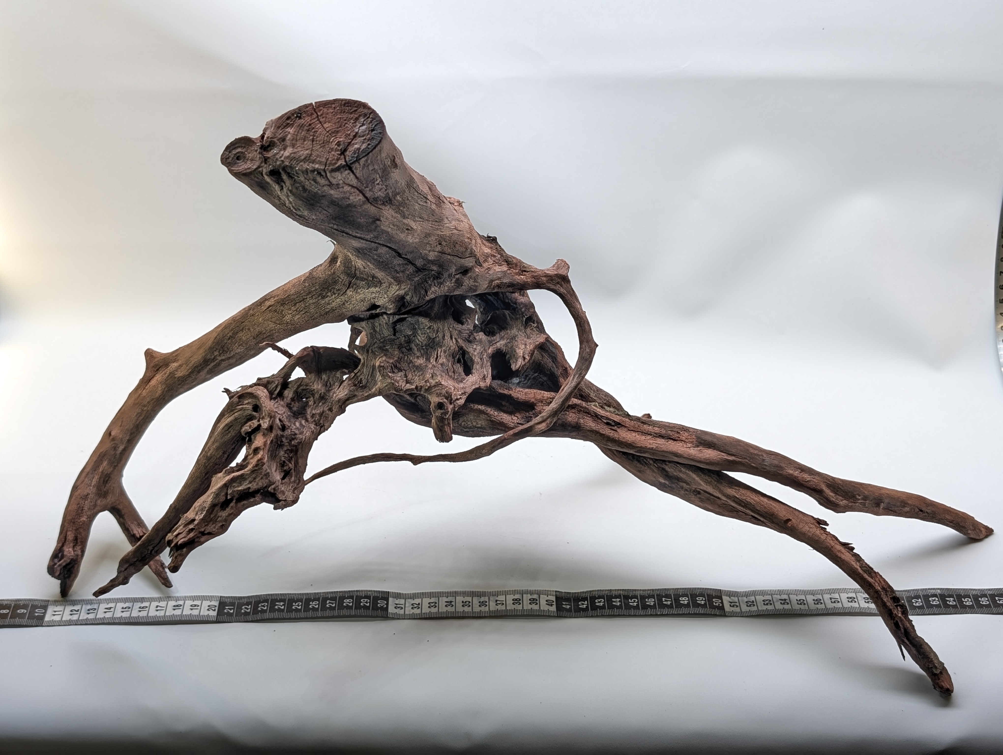 Aquarium Gold Vine driftwood  XL 40-60cm