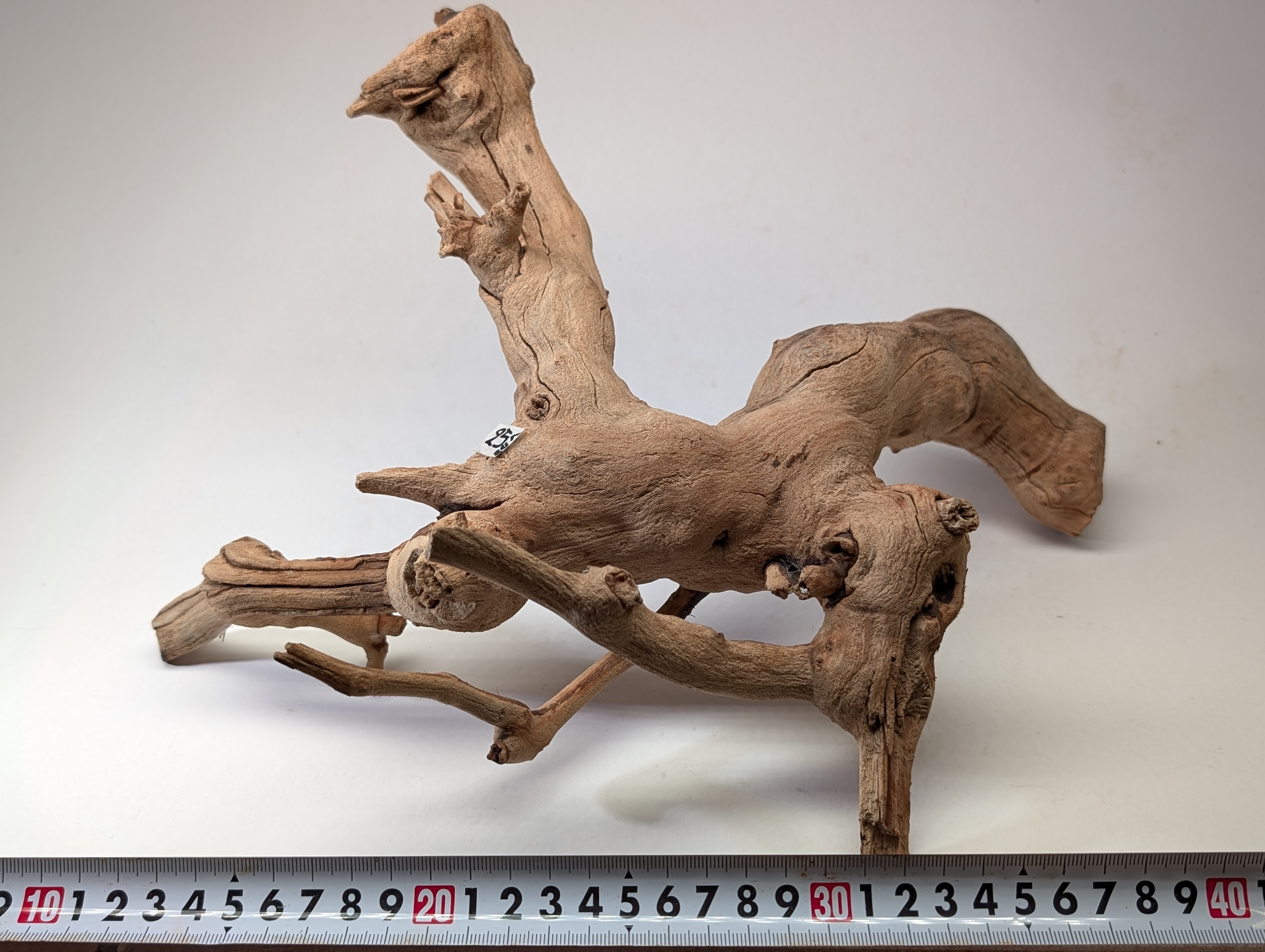 Aquarium driftwood  L size 25-40cm