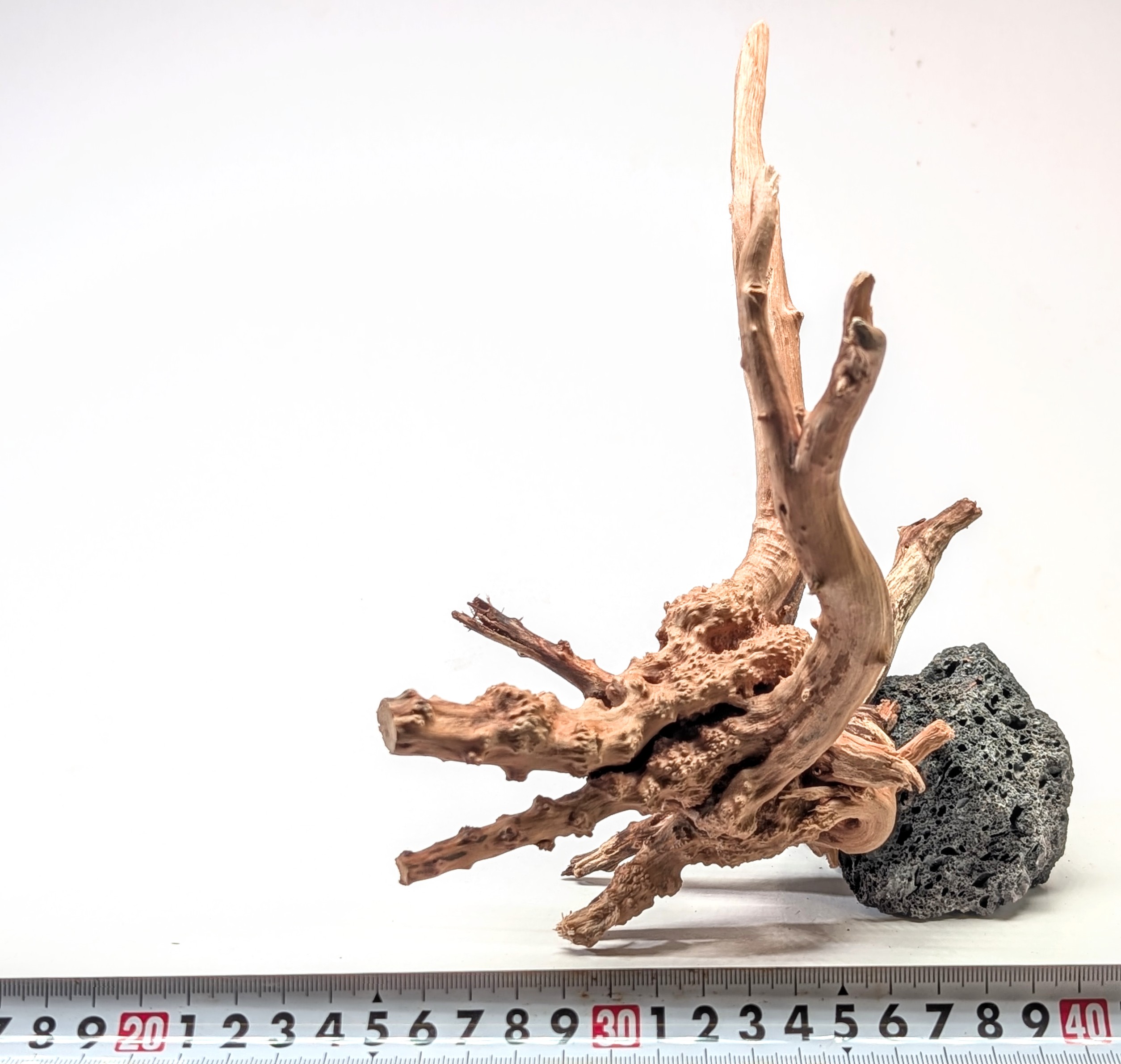 Aquarium gold vine drifrwood 20-25cm