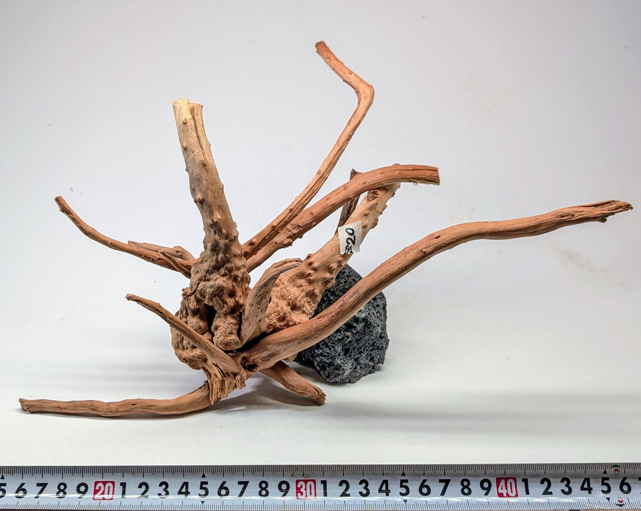 Aquarium gold vine drifrwood  L size 25-40cm