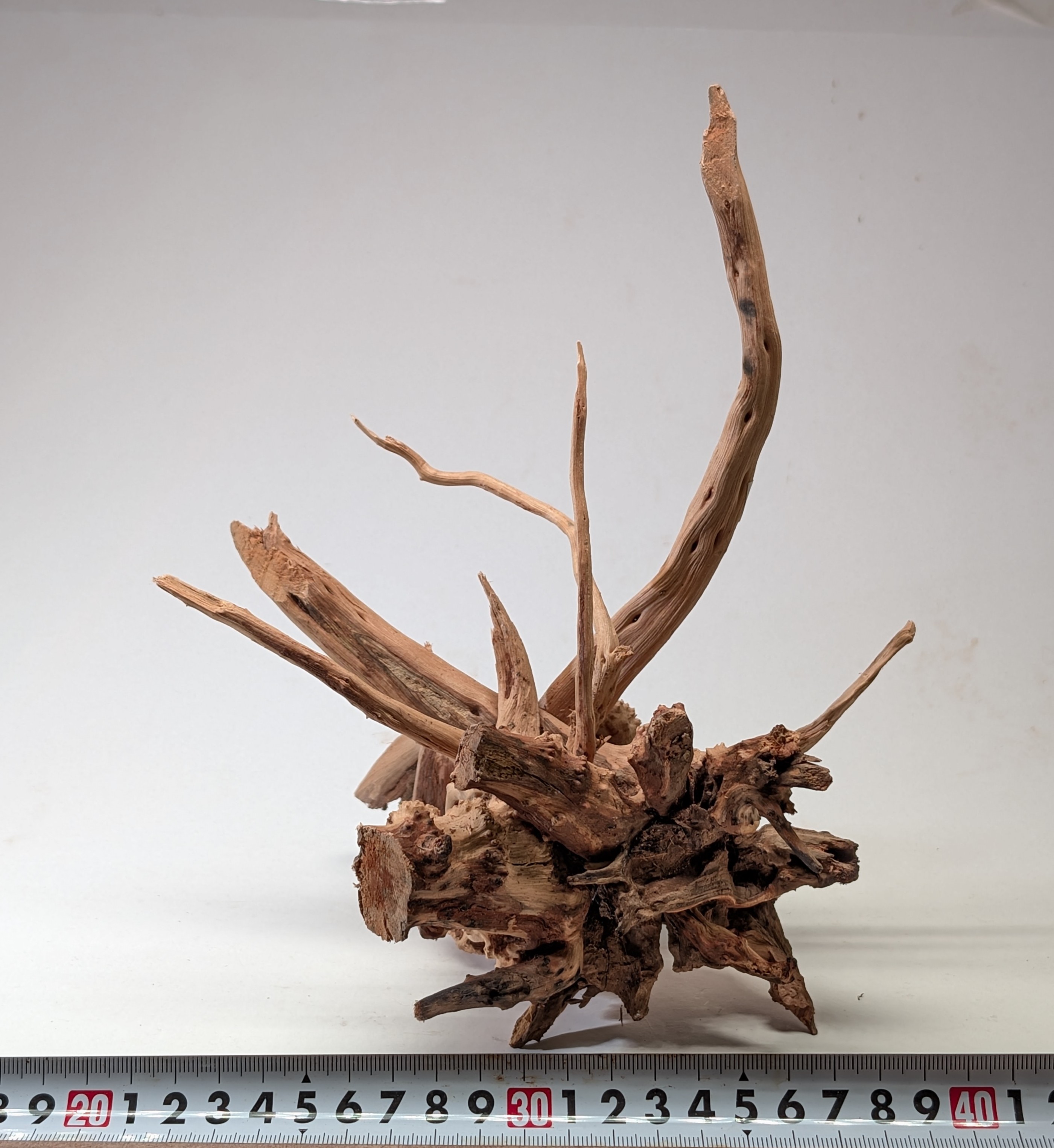 Aquarium gold vine driftwood  L size 25-40cm