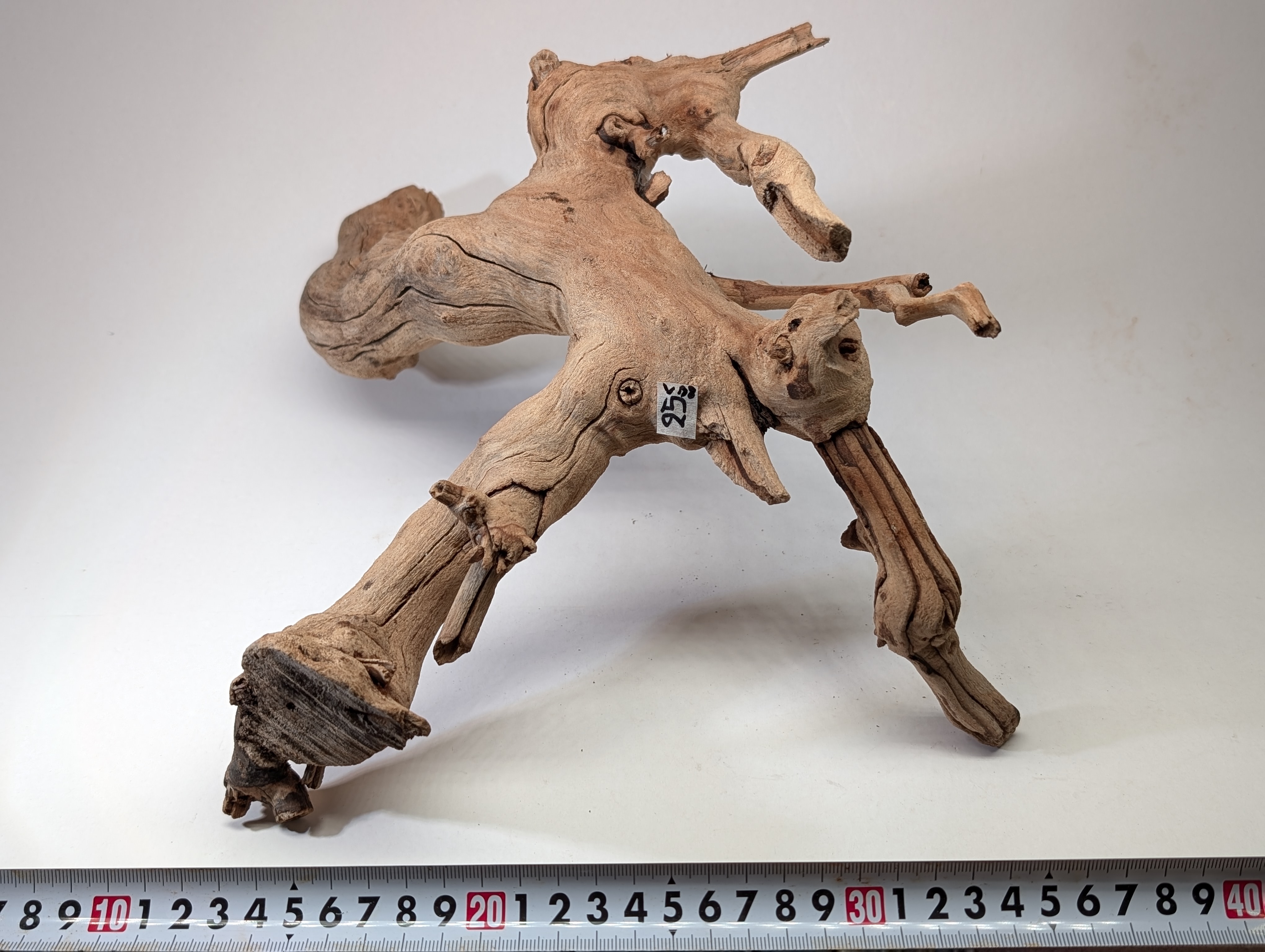 Aquarium driftwood  L size 25-40cm