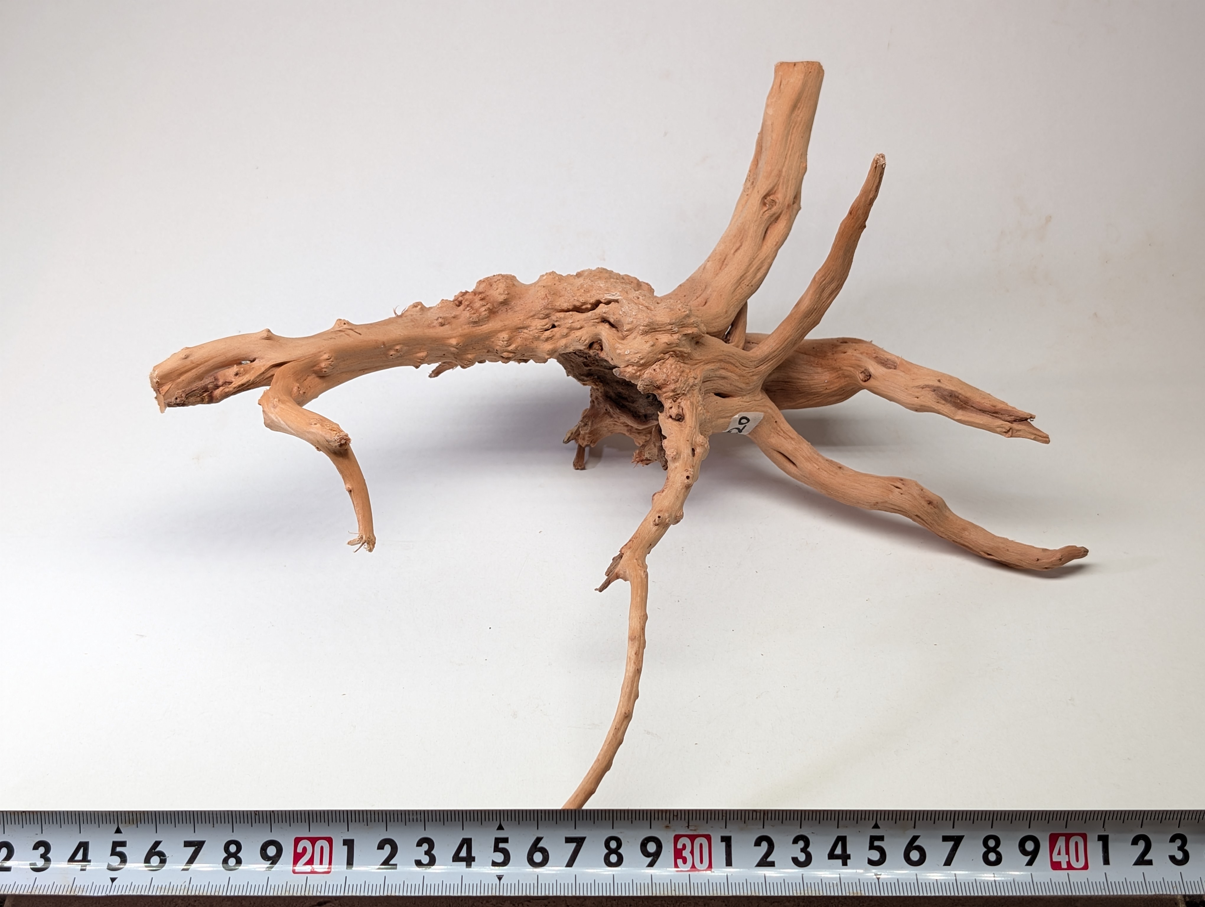 Aquarium gold vine driftwood L size 25-40cm