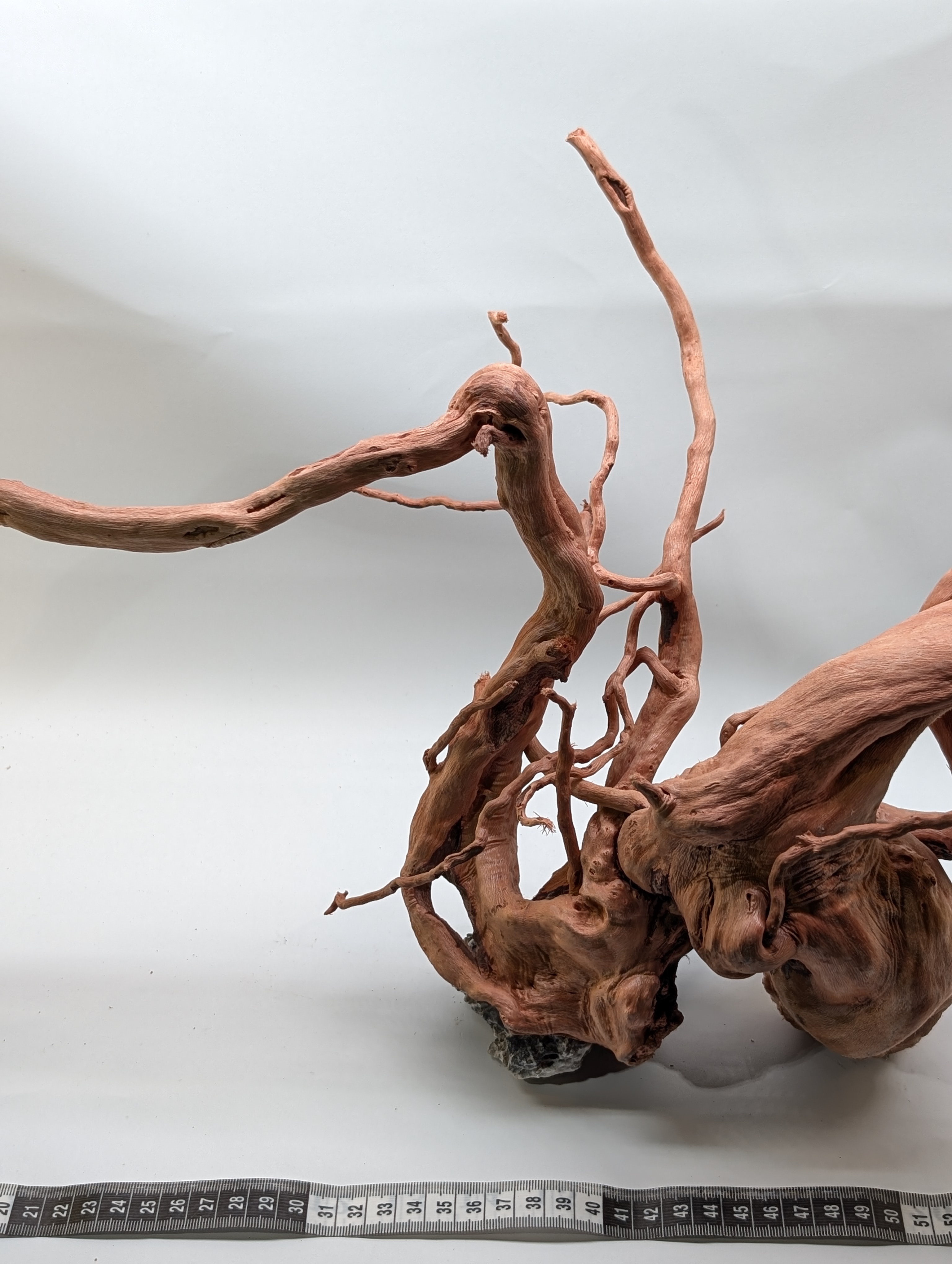 Aquarium Gold Vine driftwood  XL 40-60cm