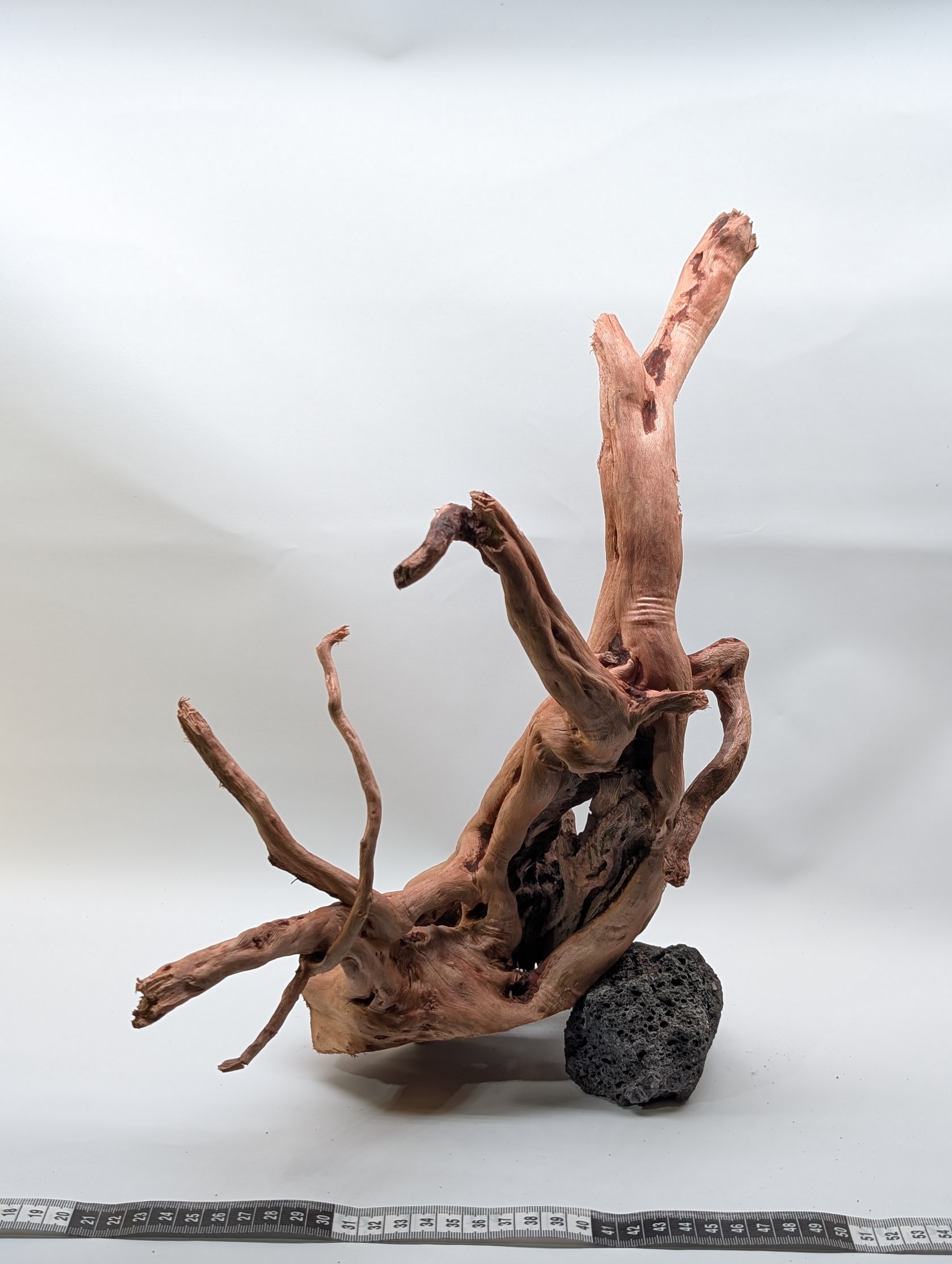 Aquarium Gold Vine driftwood XL 40-60cm