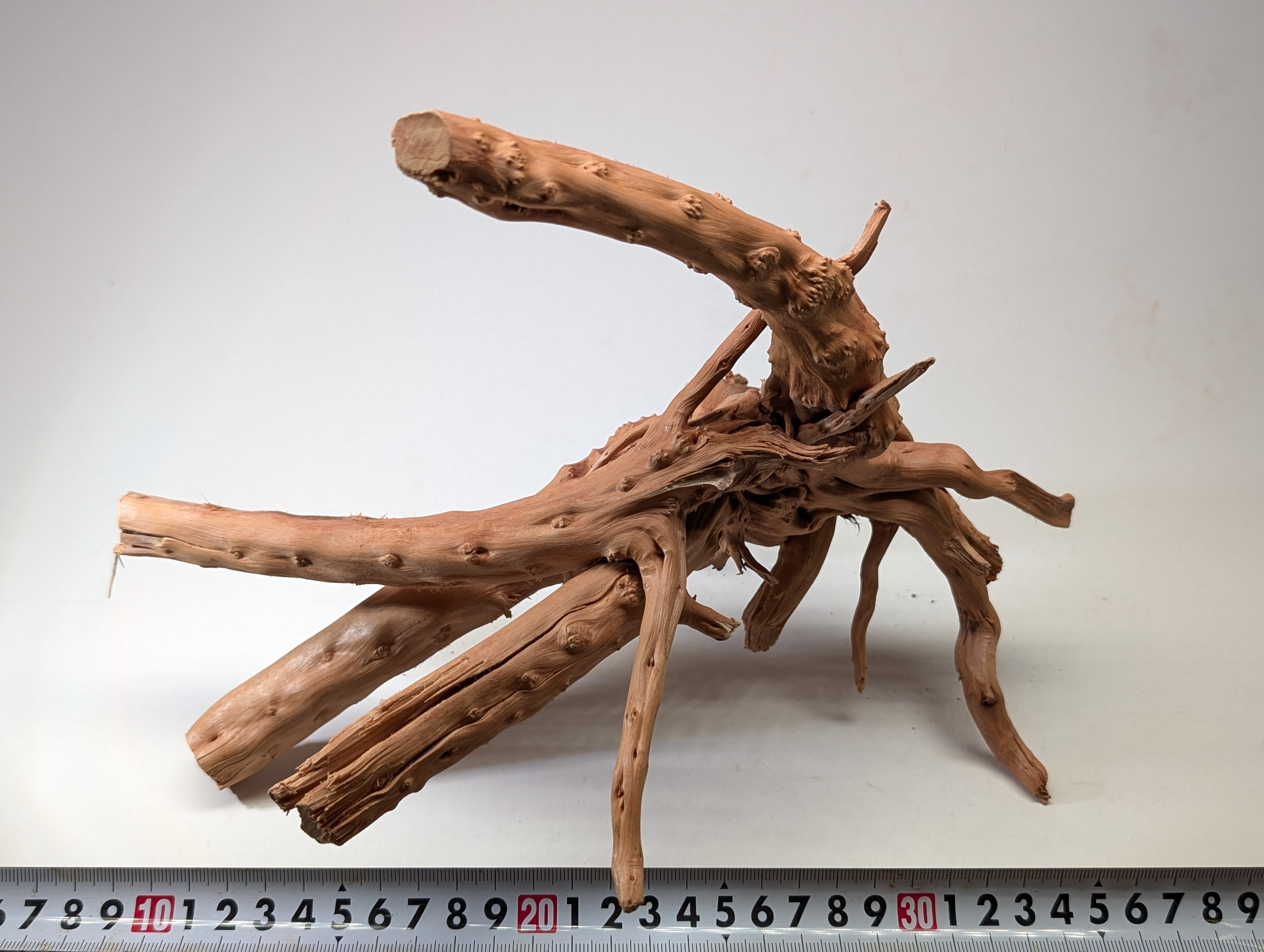 Aquarium gold vine driftwood  L size 25-40cm
