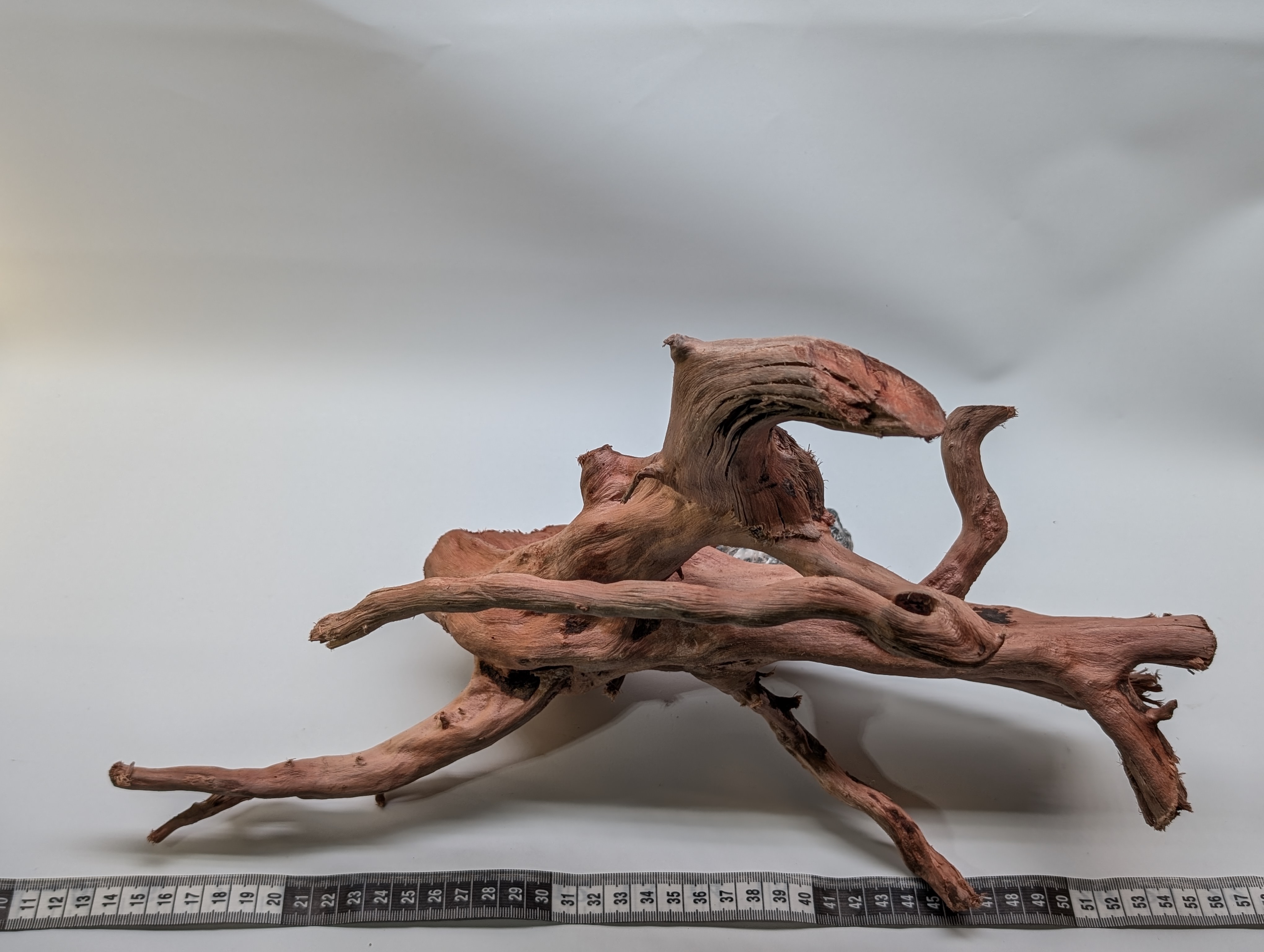 Aquarium gold vine driftwood  L size 25-40cm