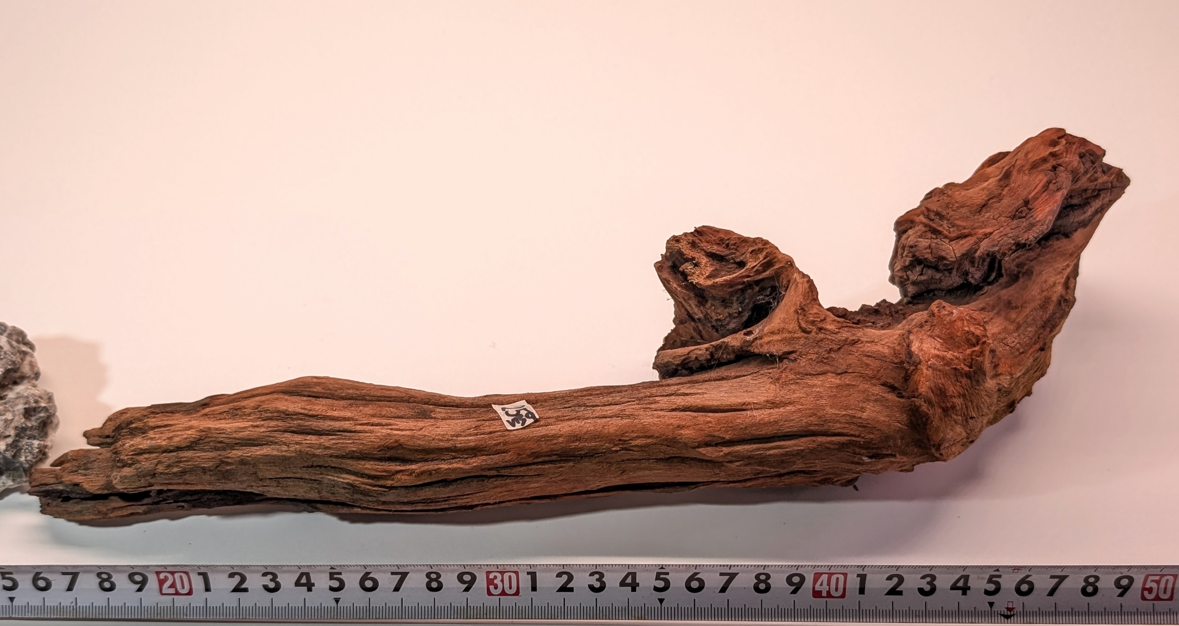 Natural driftwood  L size 25-40cm