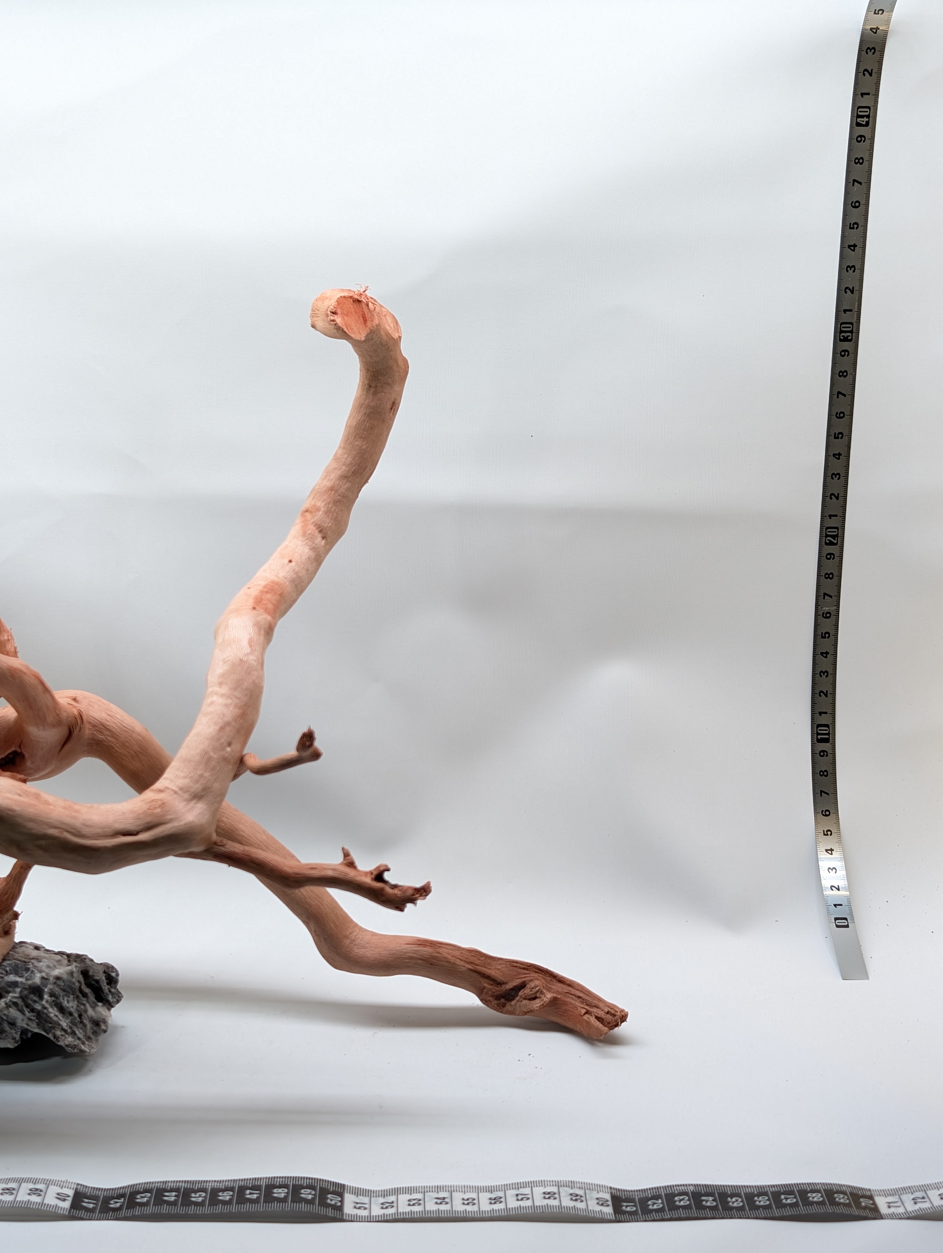 Aquarium Gold Vine driftwood  XL 40-60cm