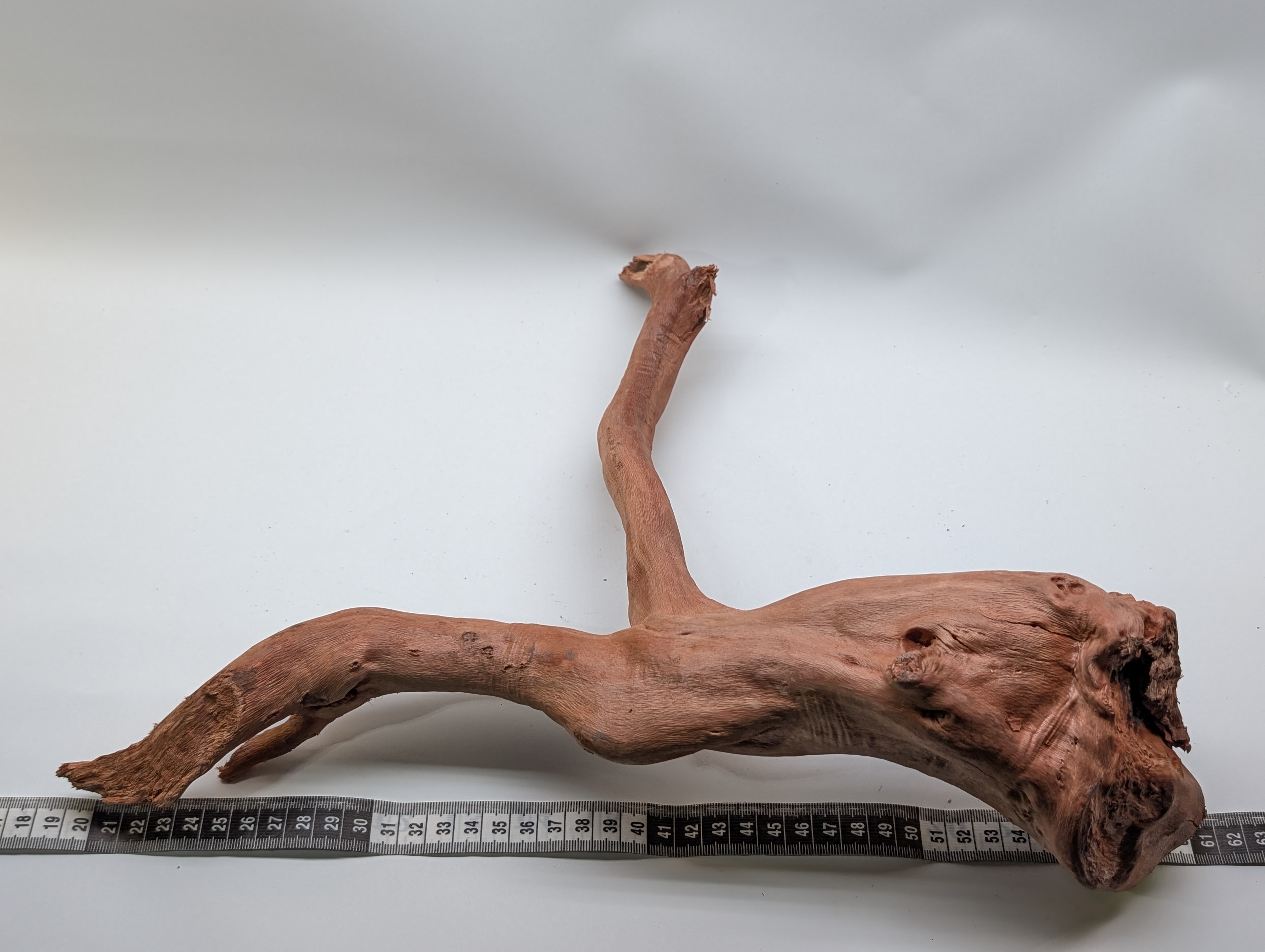 Aquarium gold vine driftwood  L size 25-40cm