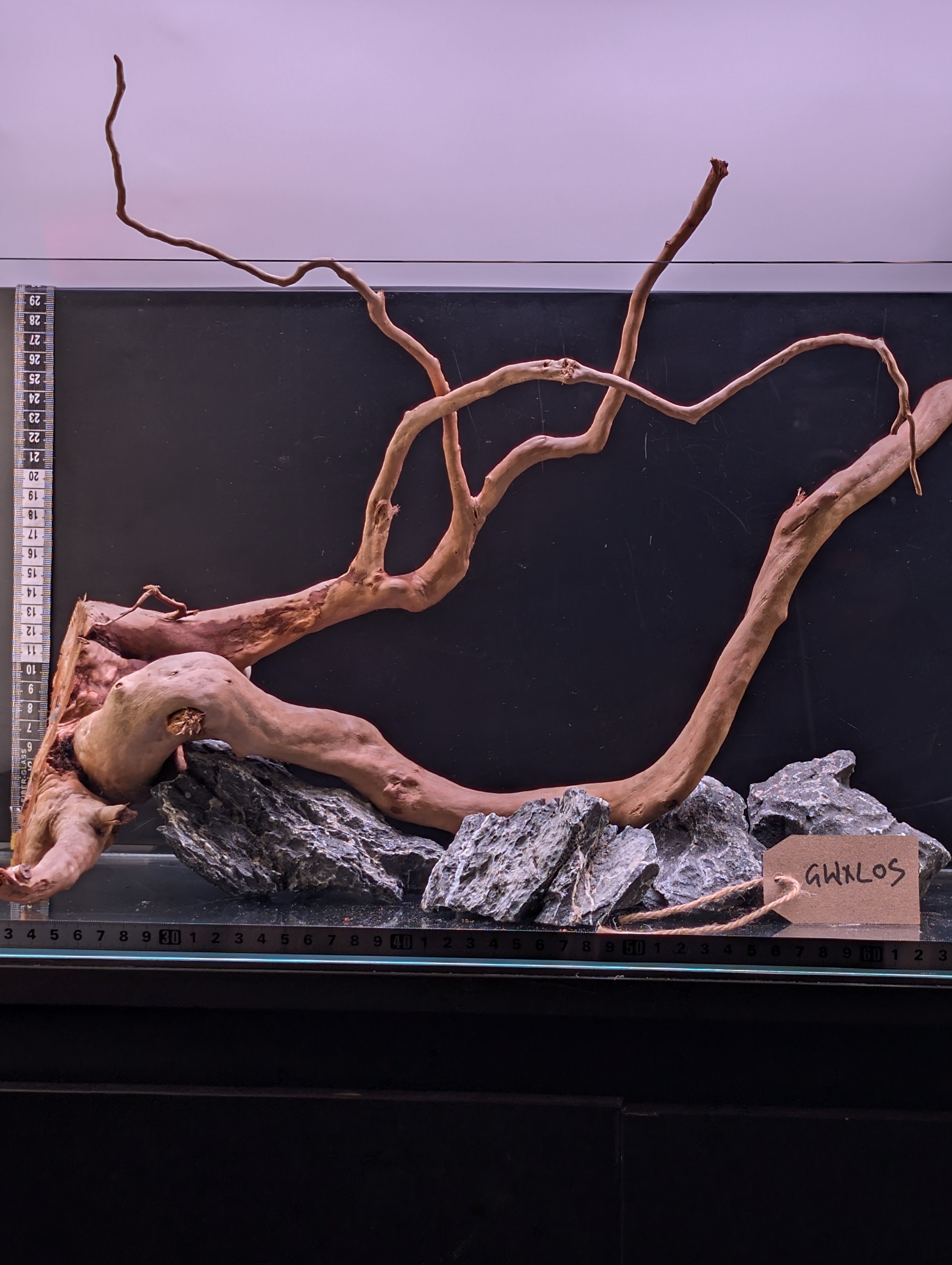 Aquarium Gold Vine driftwood  XL 60-80cm