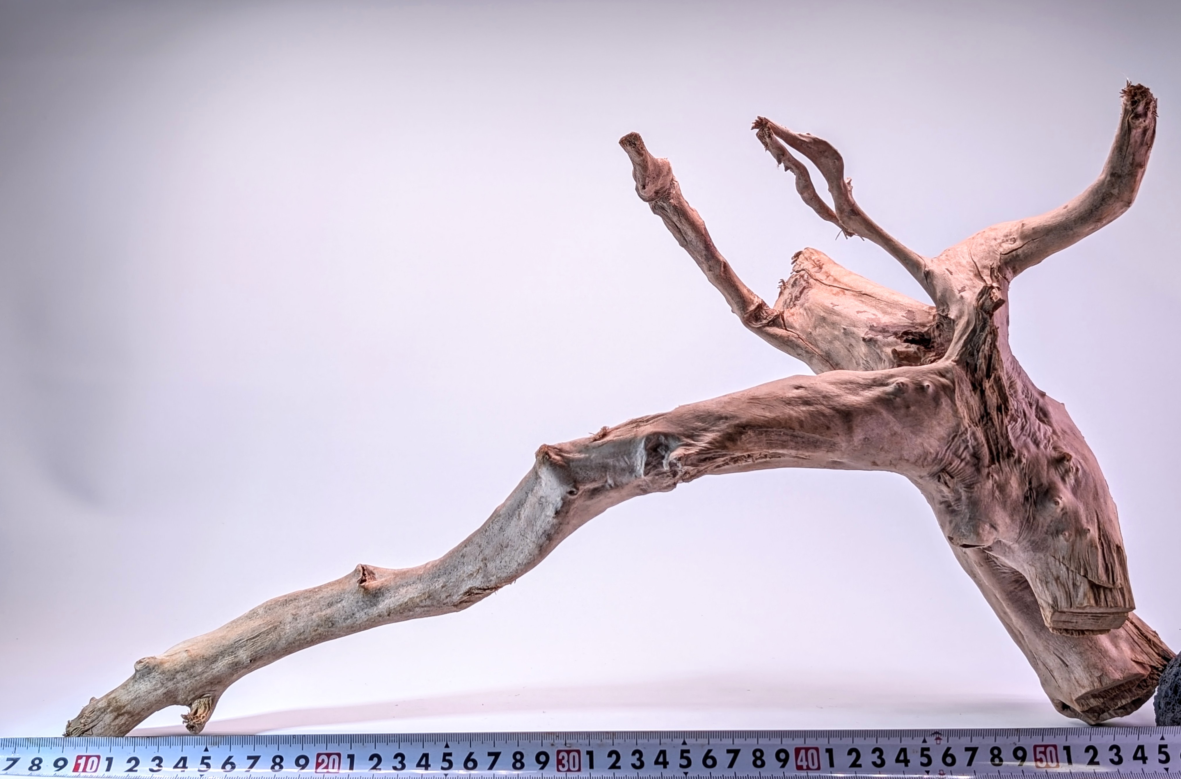 Aquarium Gold Vine driftwood  XL 40-60cm