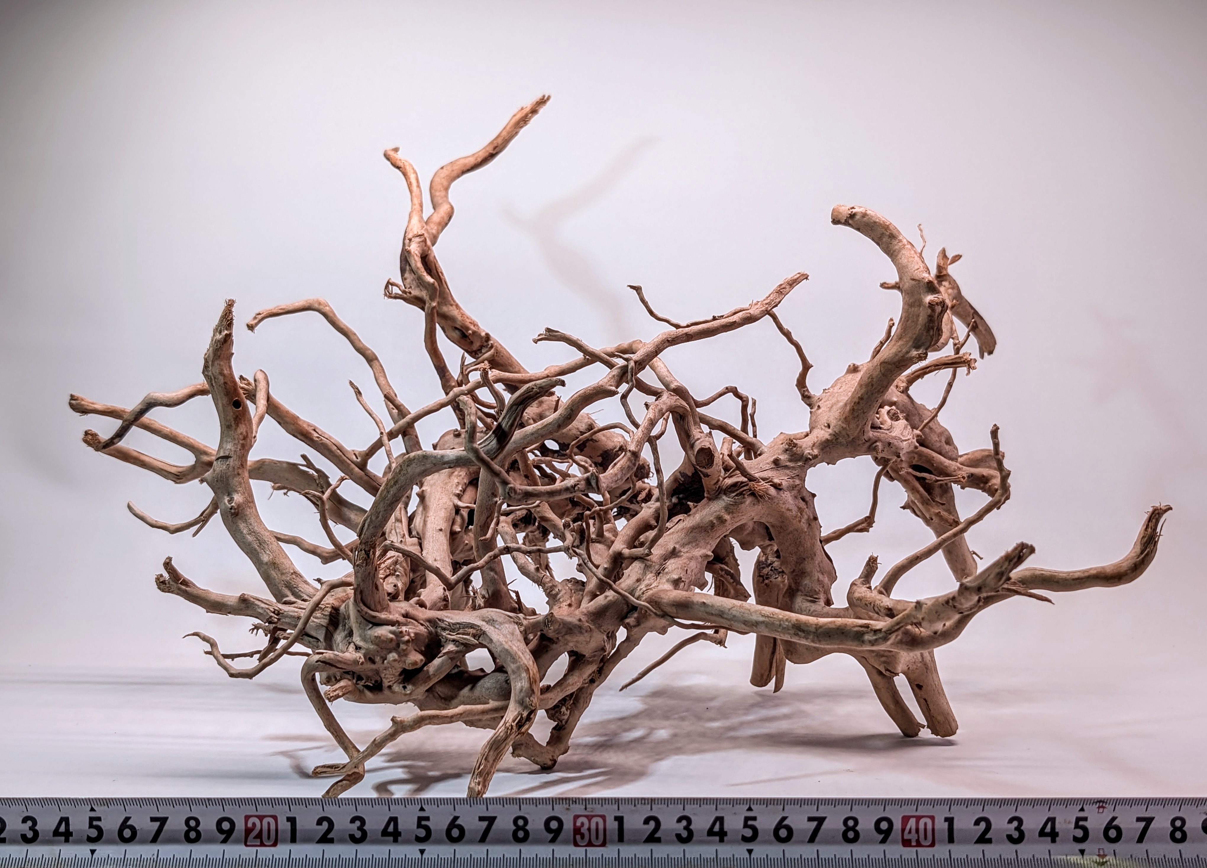 Aquarium Gold Vine driftwood jungle  XL 40-60cm