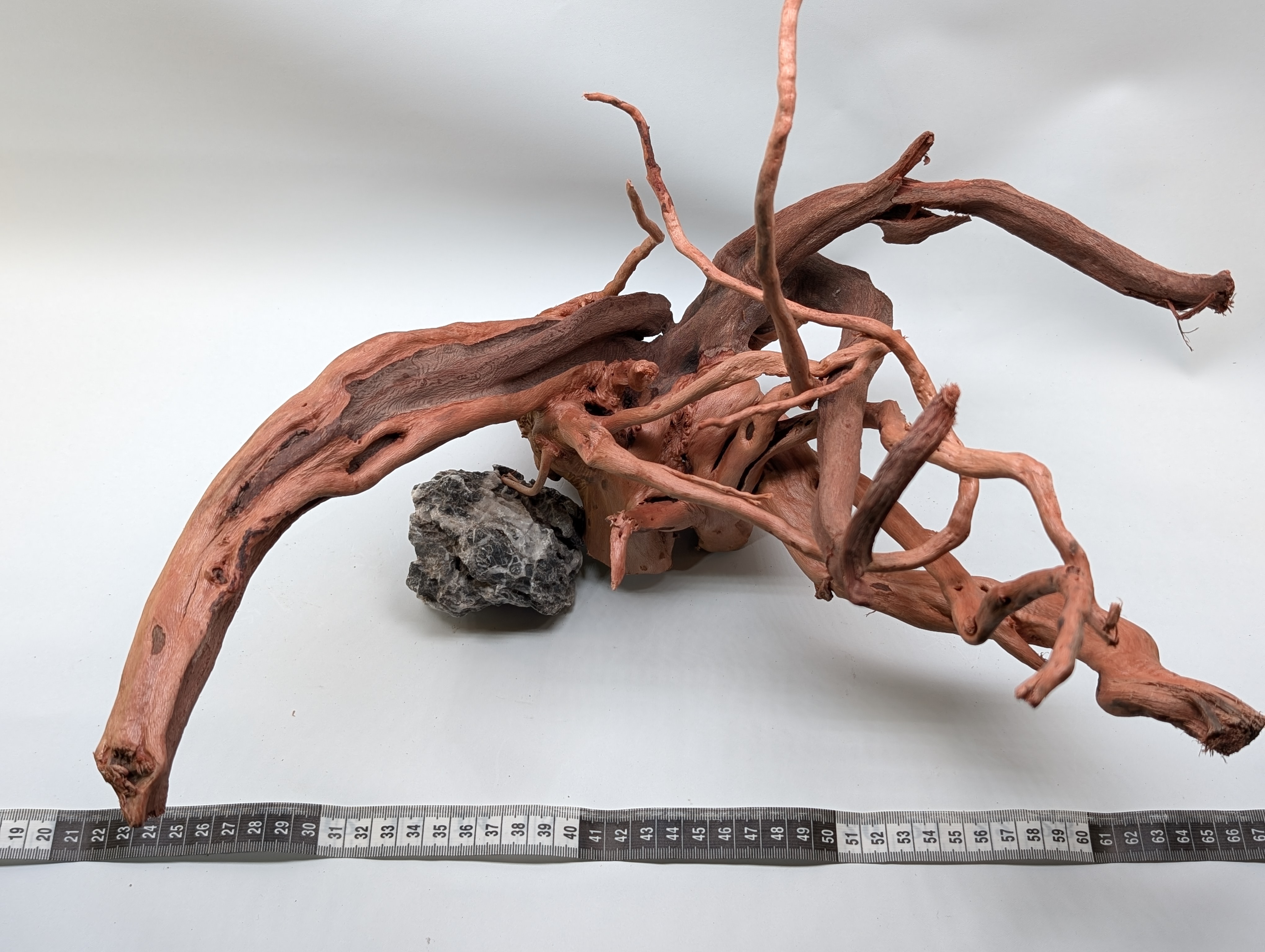 Aquarium Gold Vine driftwood  XL 40-60cm