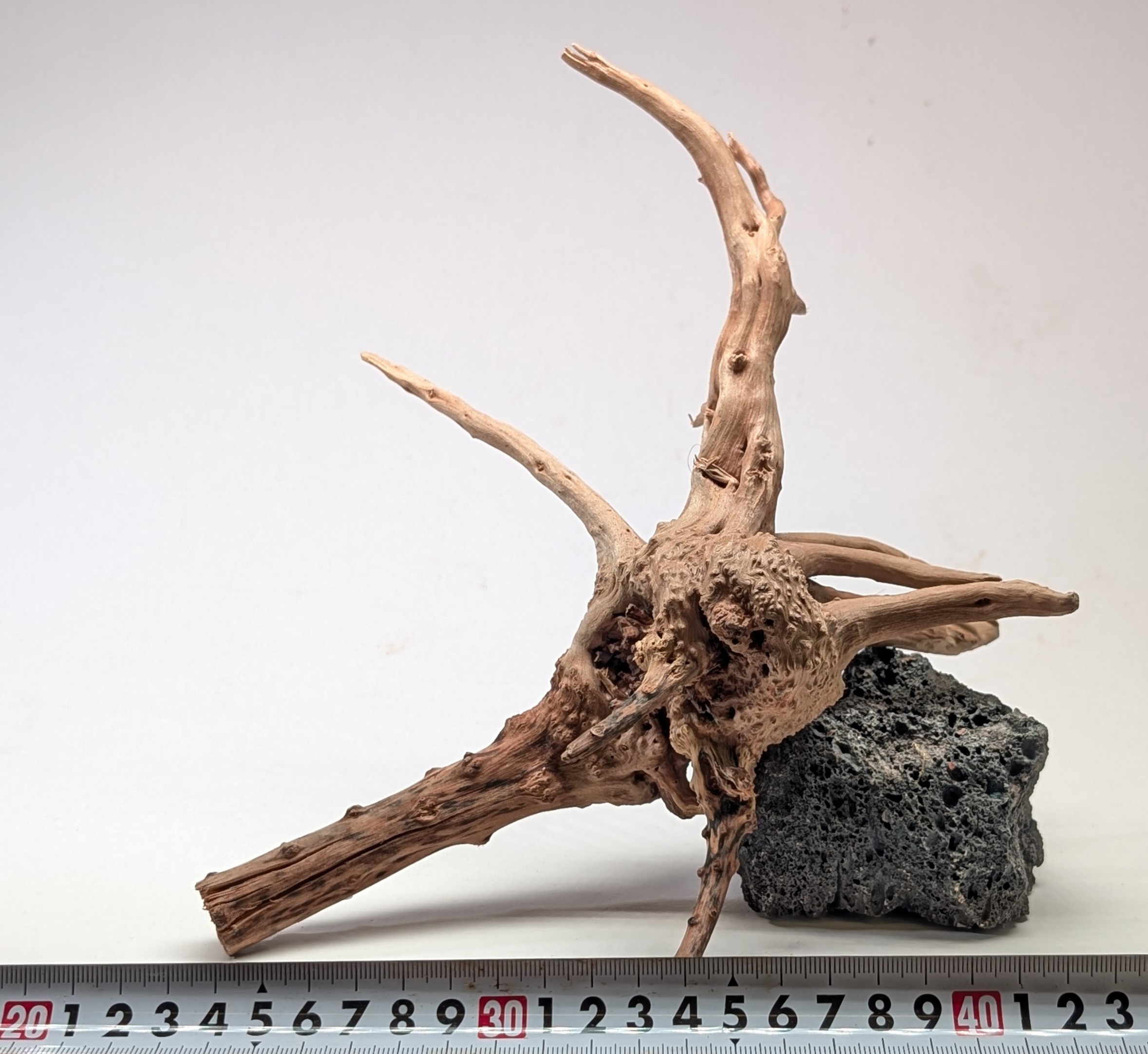 Aquarium gold vine drifrwood 20-25cm