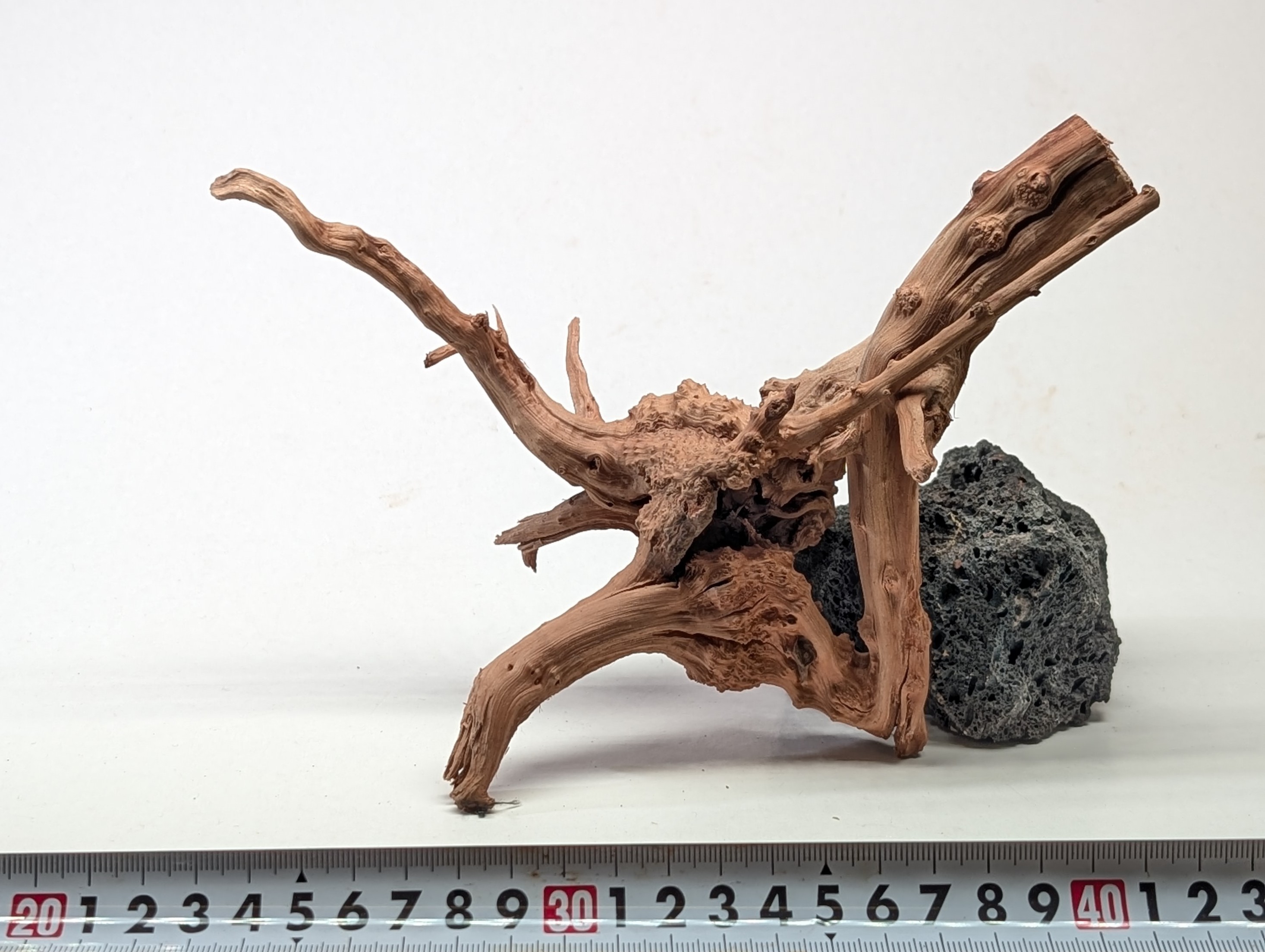 Aquarium gold vine drifrwood 20-25cm