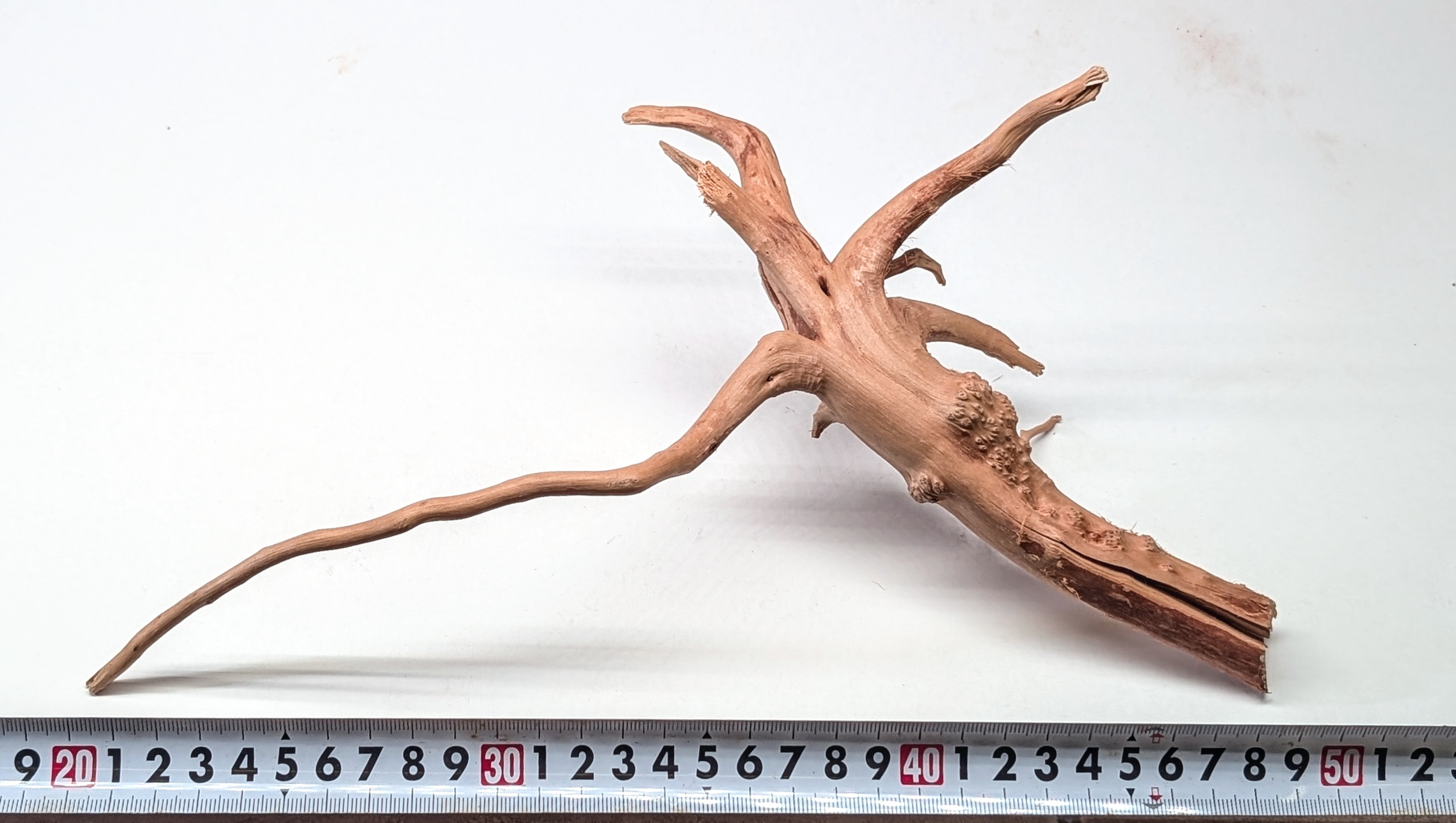 Aquarium gold vine drifrwood 15-20cm