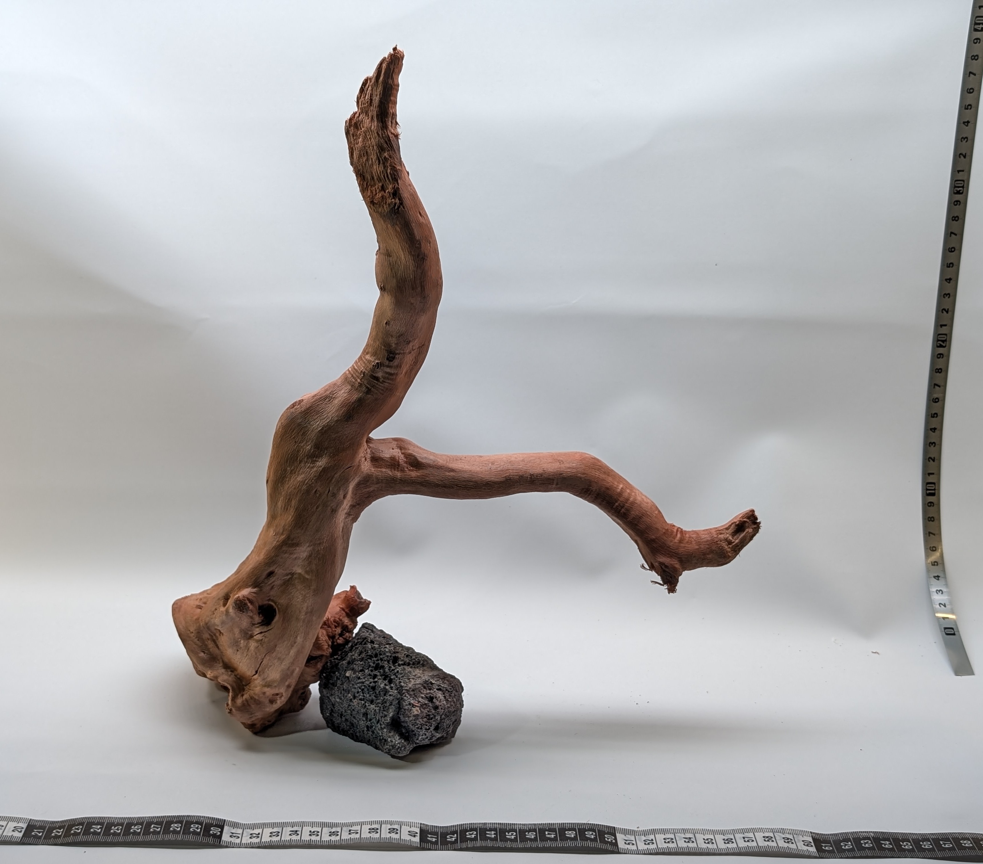 Aquarium gold vine driftwood  L size 25-40cm