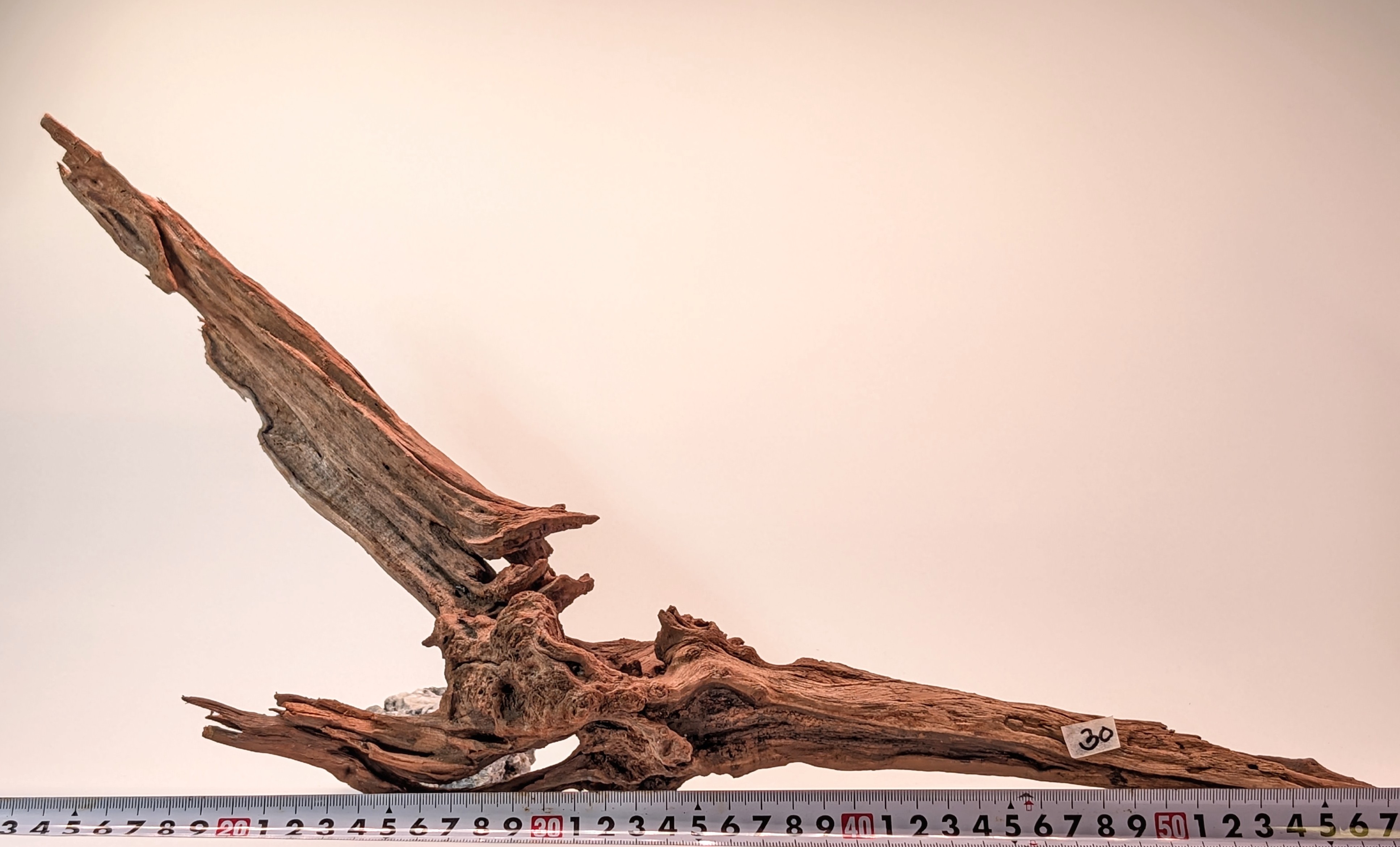 Natural driftwood L size 40-60cm
