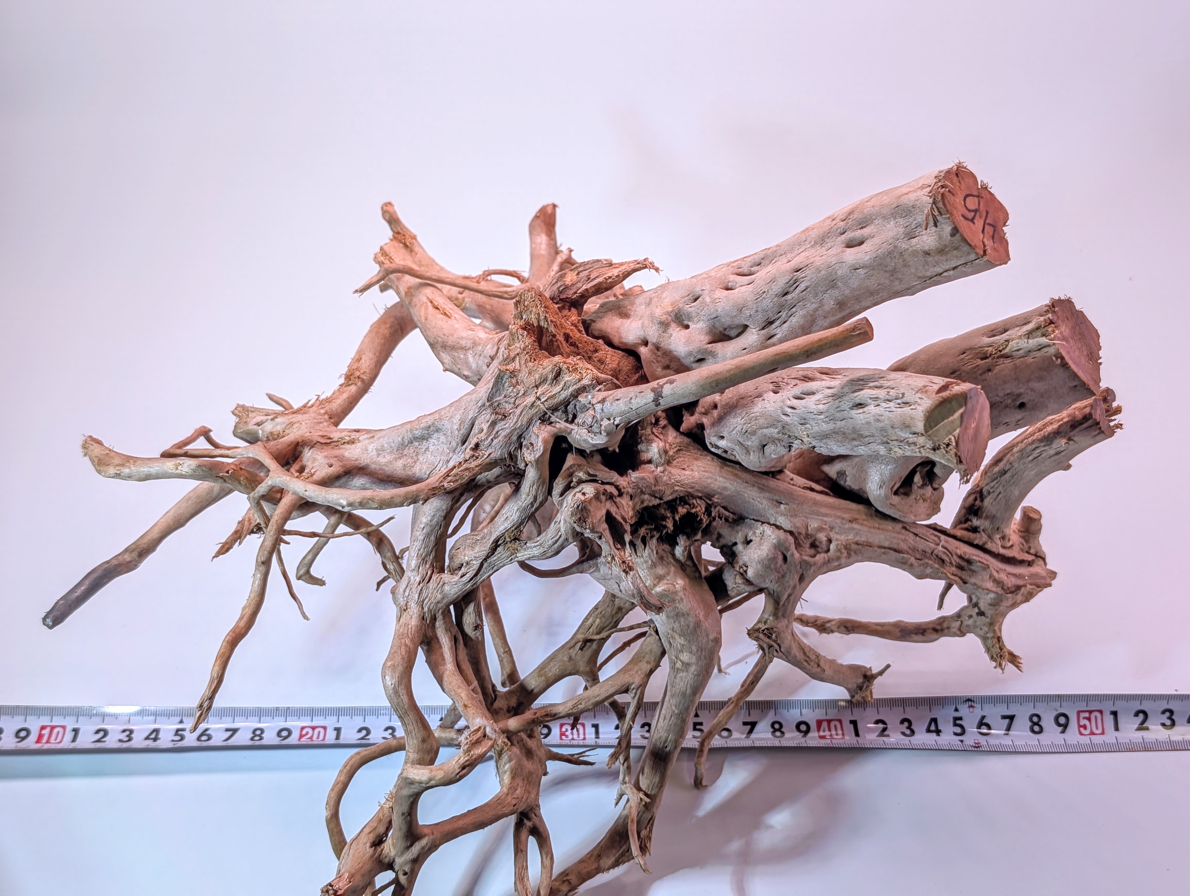 Aquarium Gold Vine driftwood  XL 40-60cm