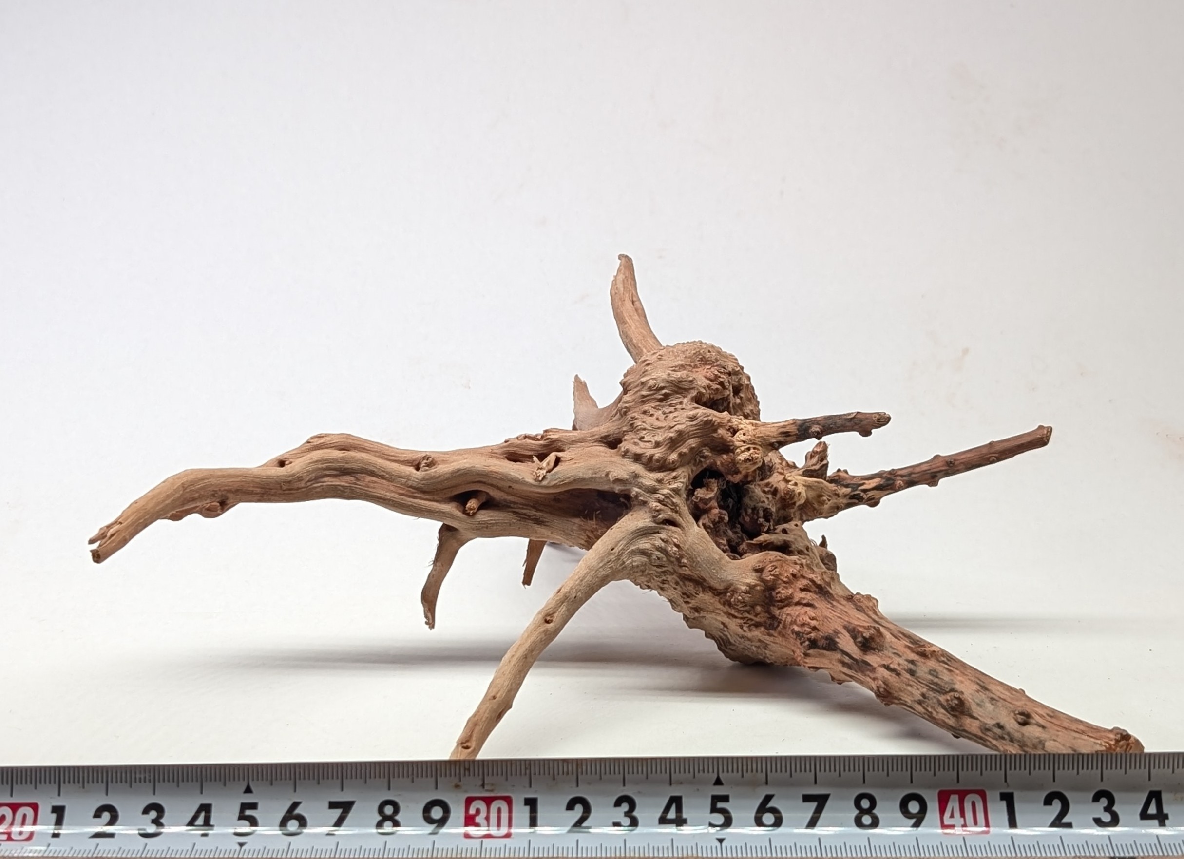 Aquarium gold vine drifrwood 20-25cm