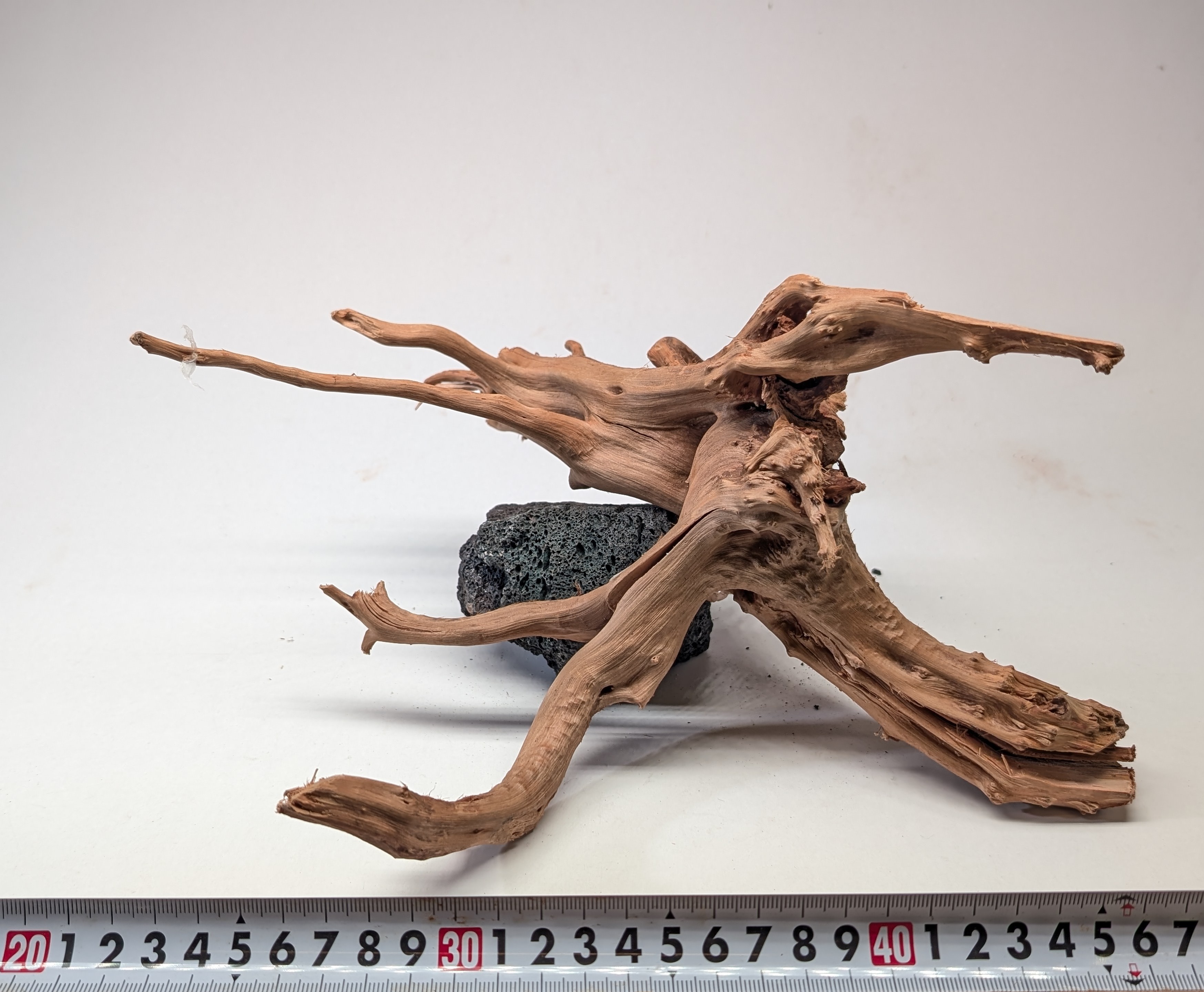 Aquarium gold vine driftwood L size 25-40cm