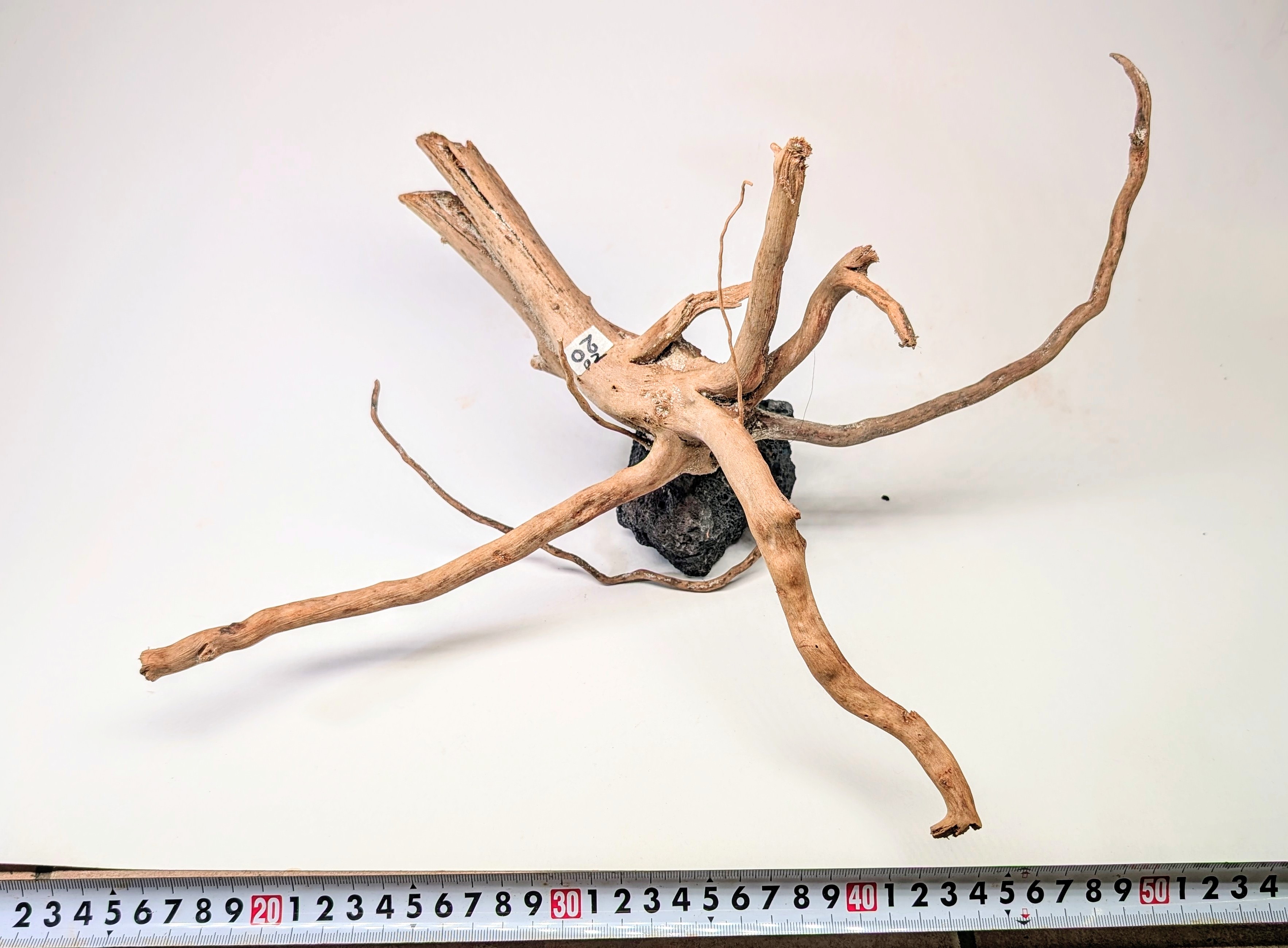 Aquarium gold vine driftwood  L size 25-40cm
