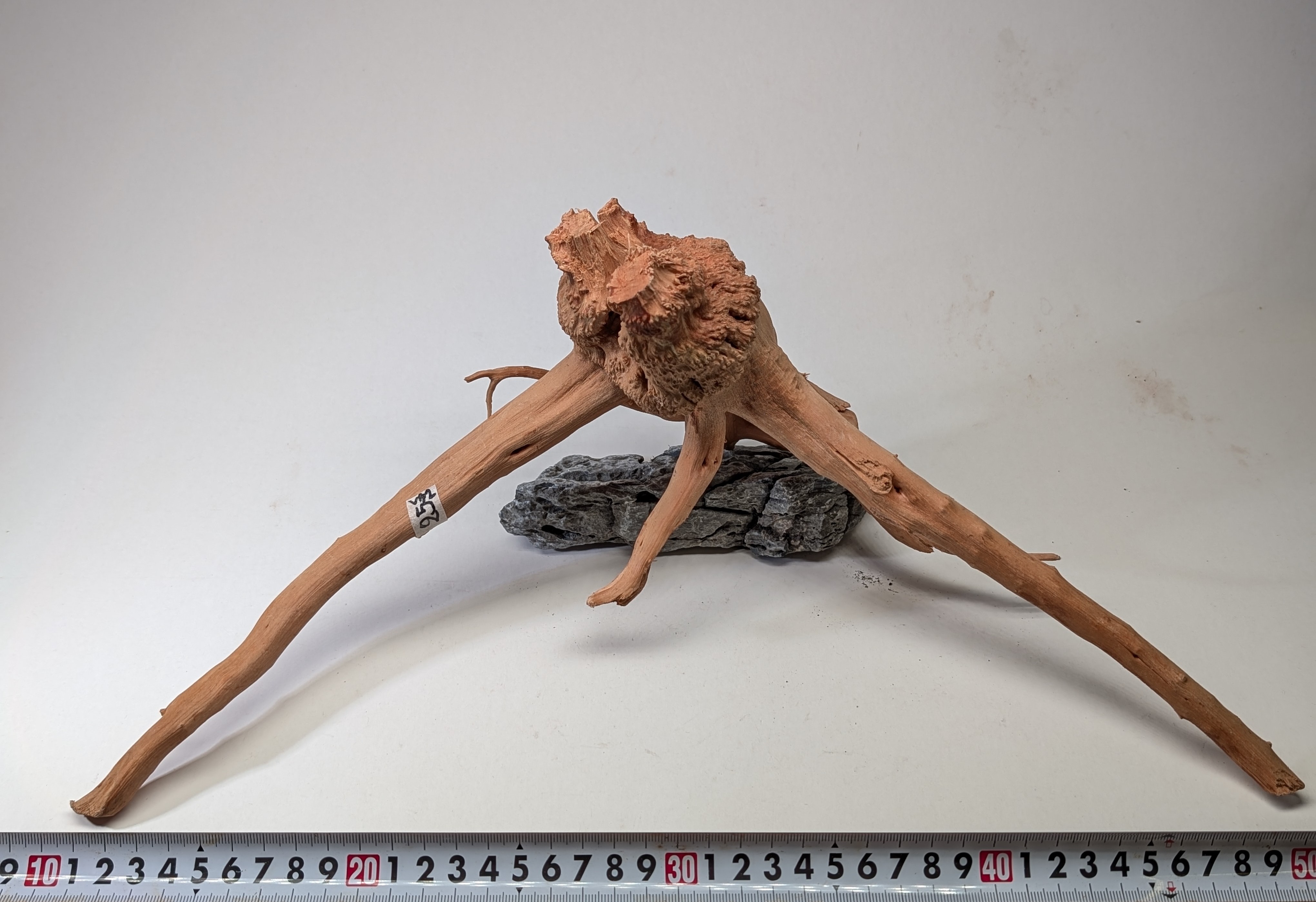 Aquarium gold vine driftwood  L size 25-40cm