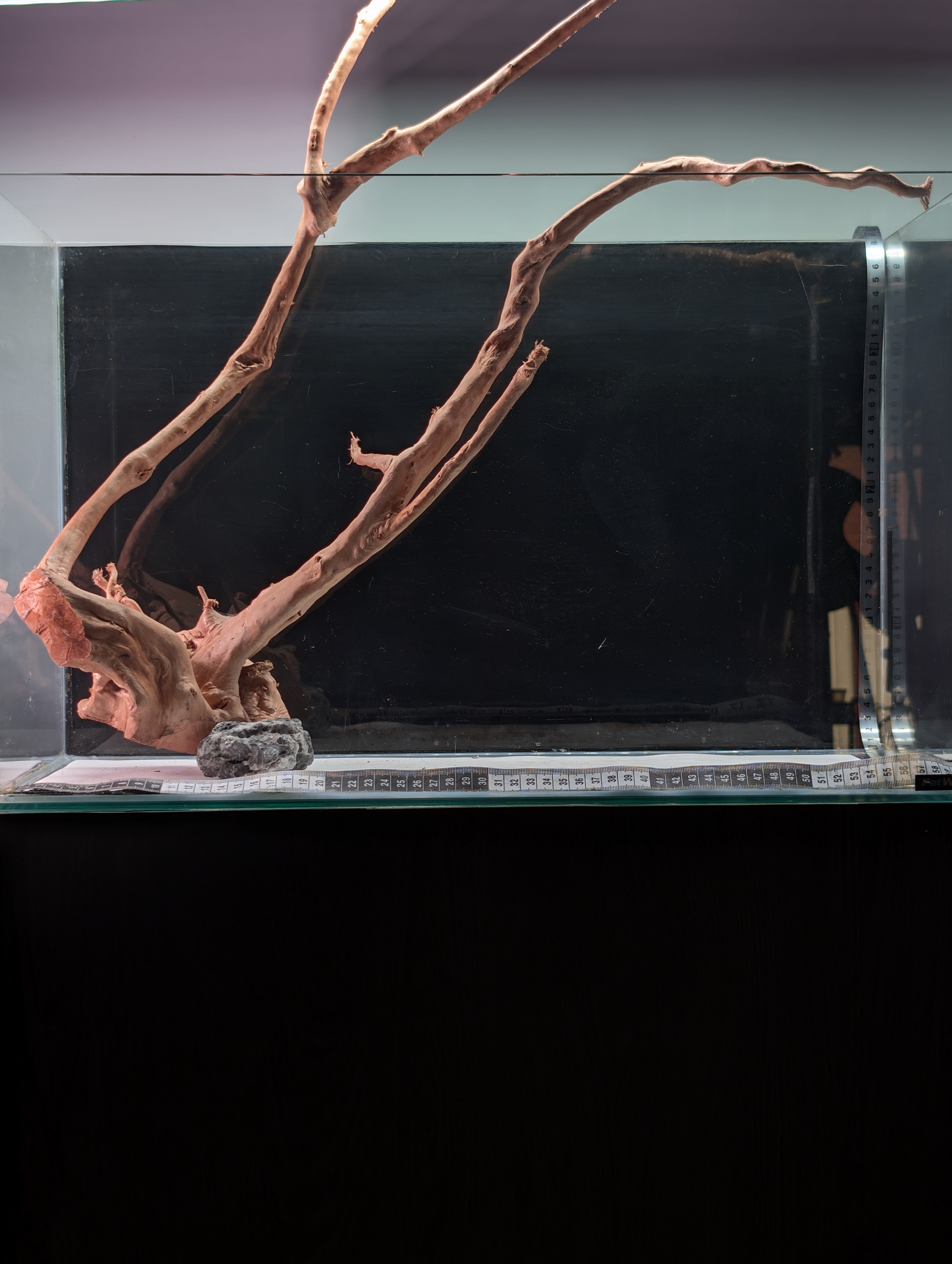 Aquarium Gold Vine driftwood XL 40-60cm