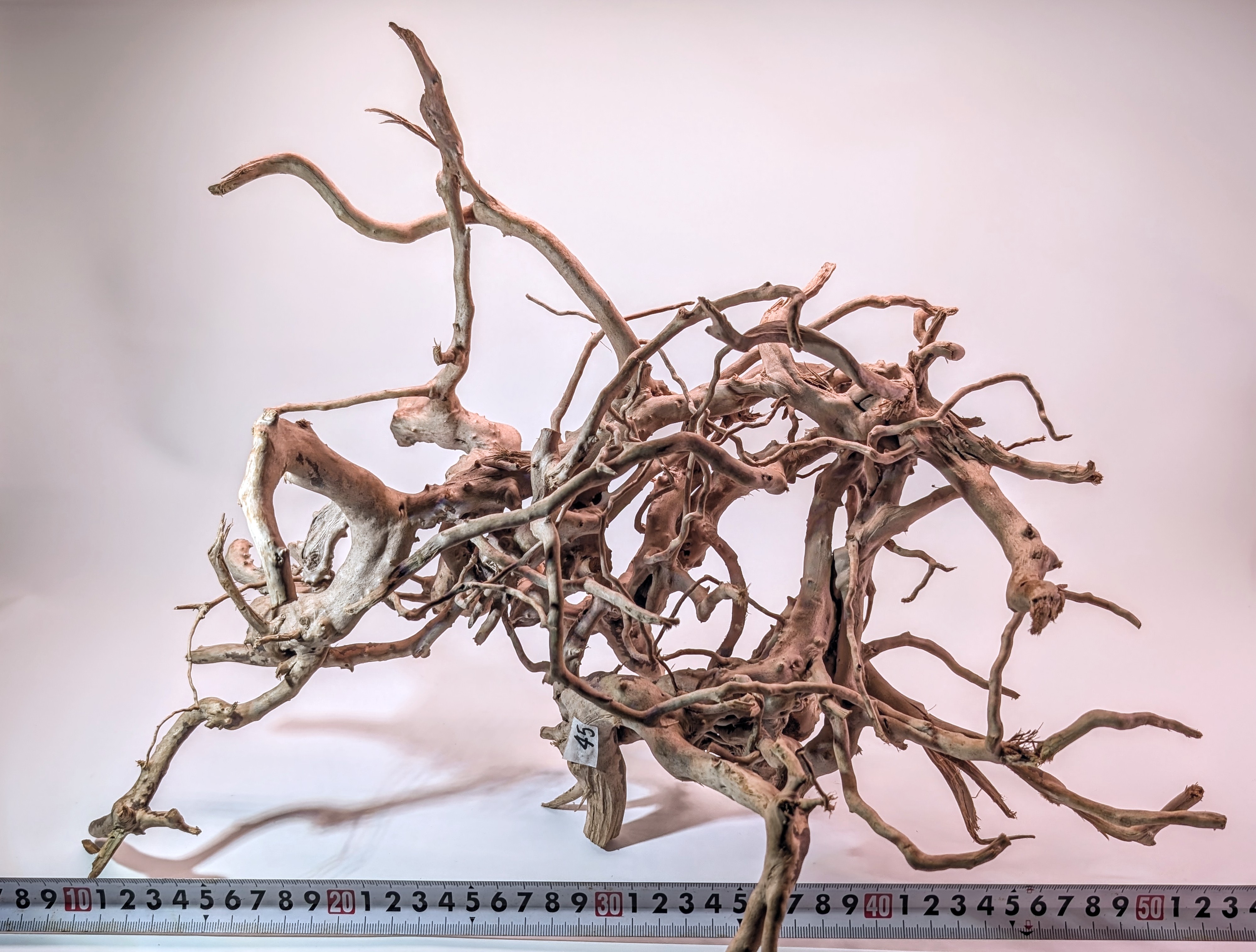 Aquarium Gold Vine driftwood jungle  XL 40-60cm