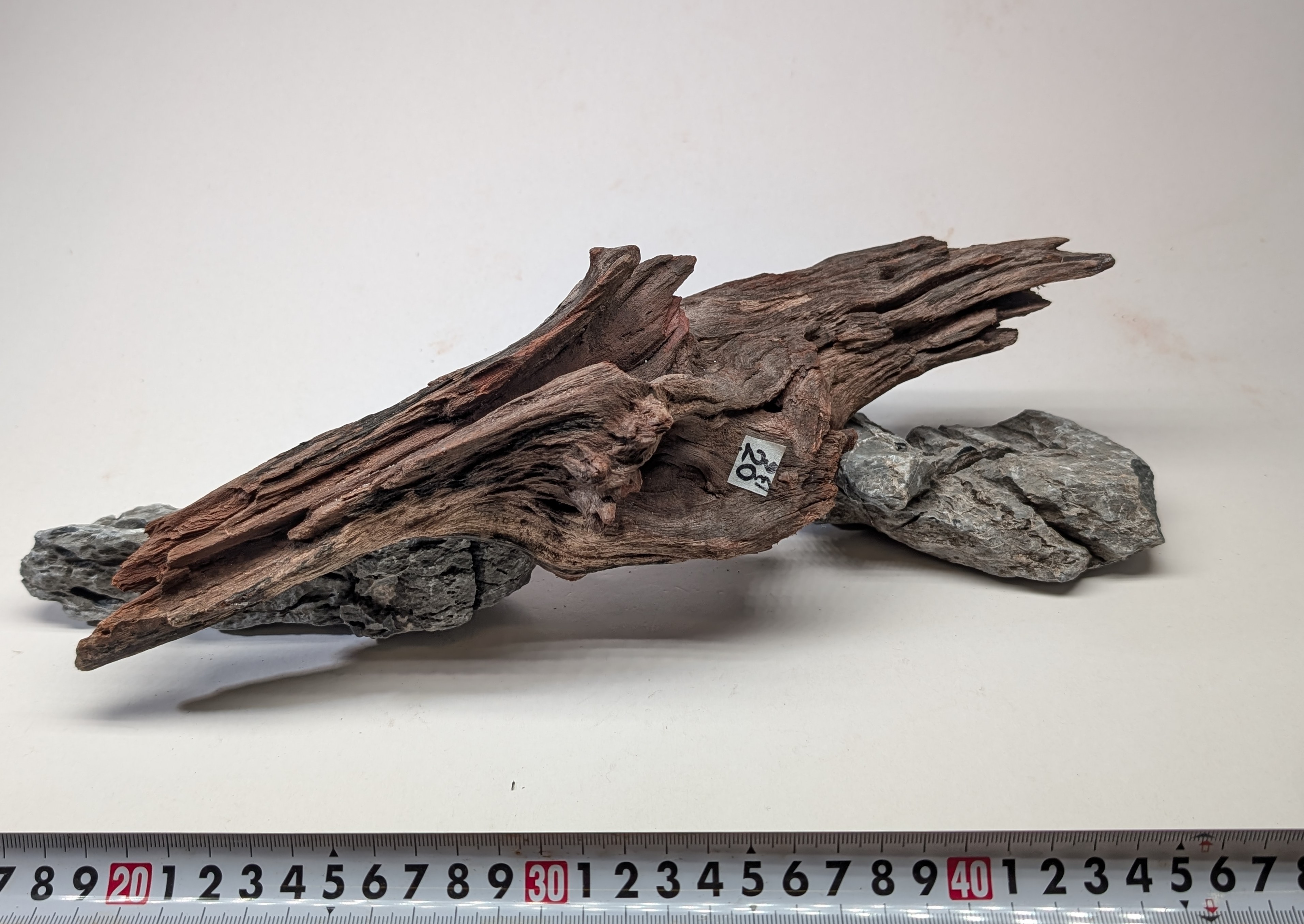 Natural driftwood L size 25-40cm