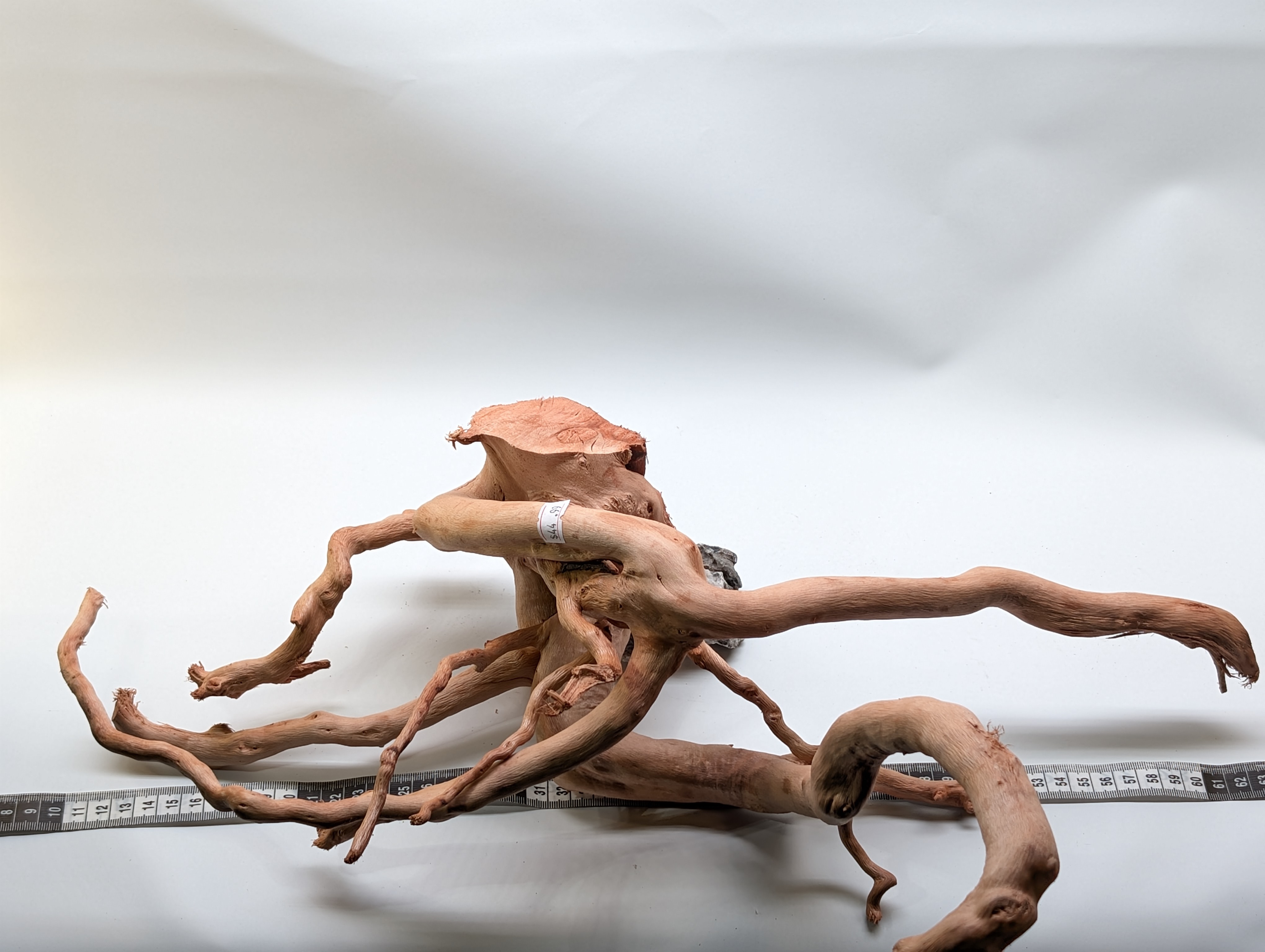 Aquarium Gold Vine driftwood  XL 40-60cm