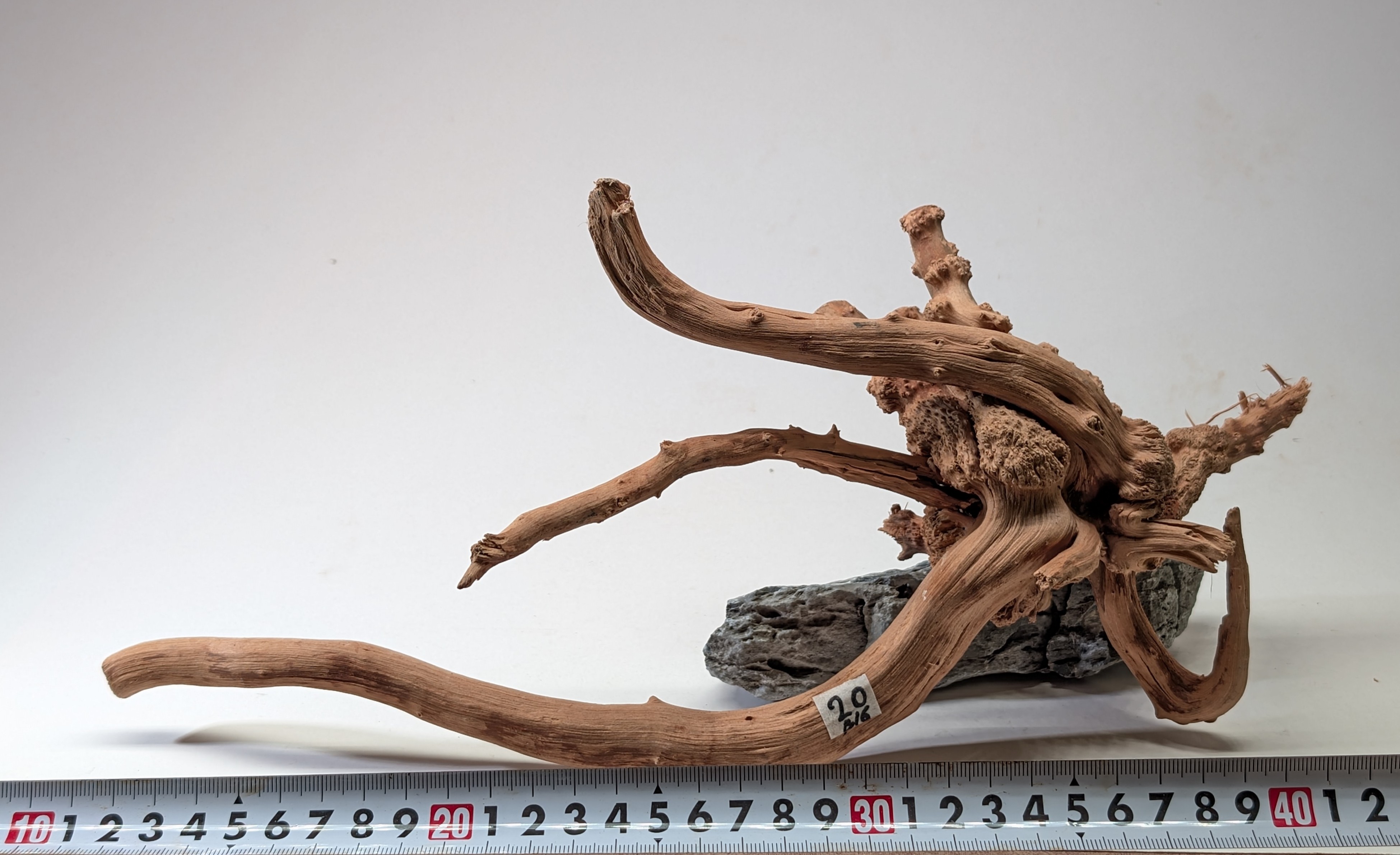 Aquarium gold vine driftwood L size 25-40cm