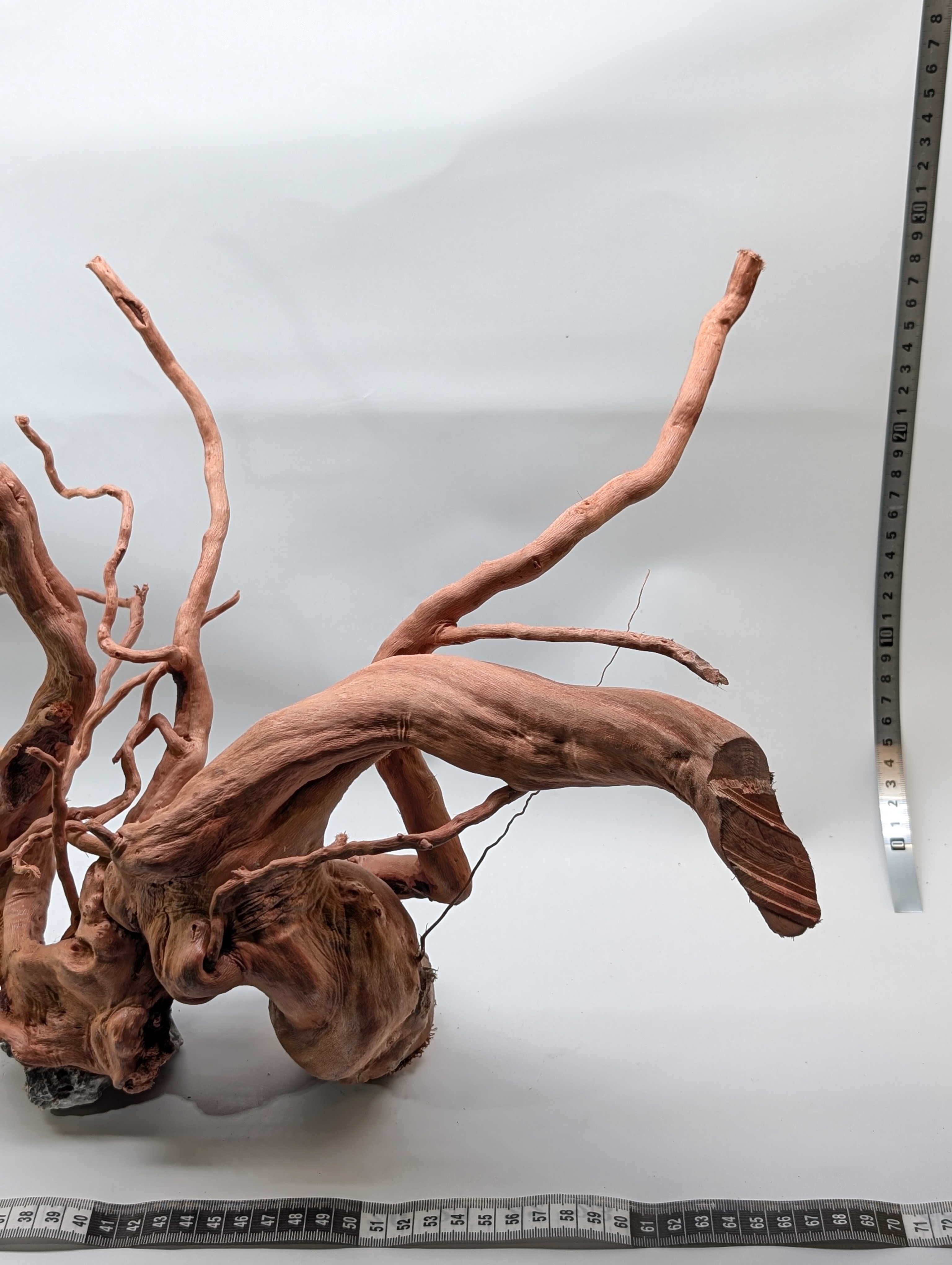 Aquarium Gold Vine driftwood  XL 40-60cm