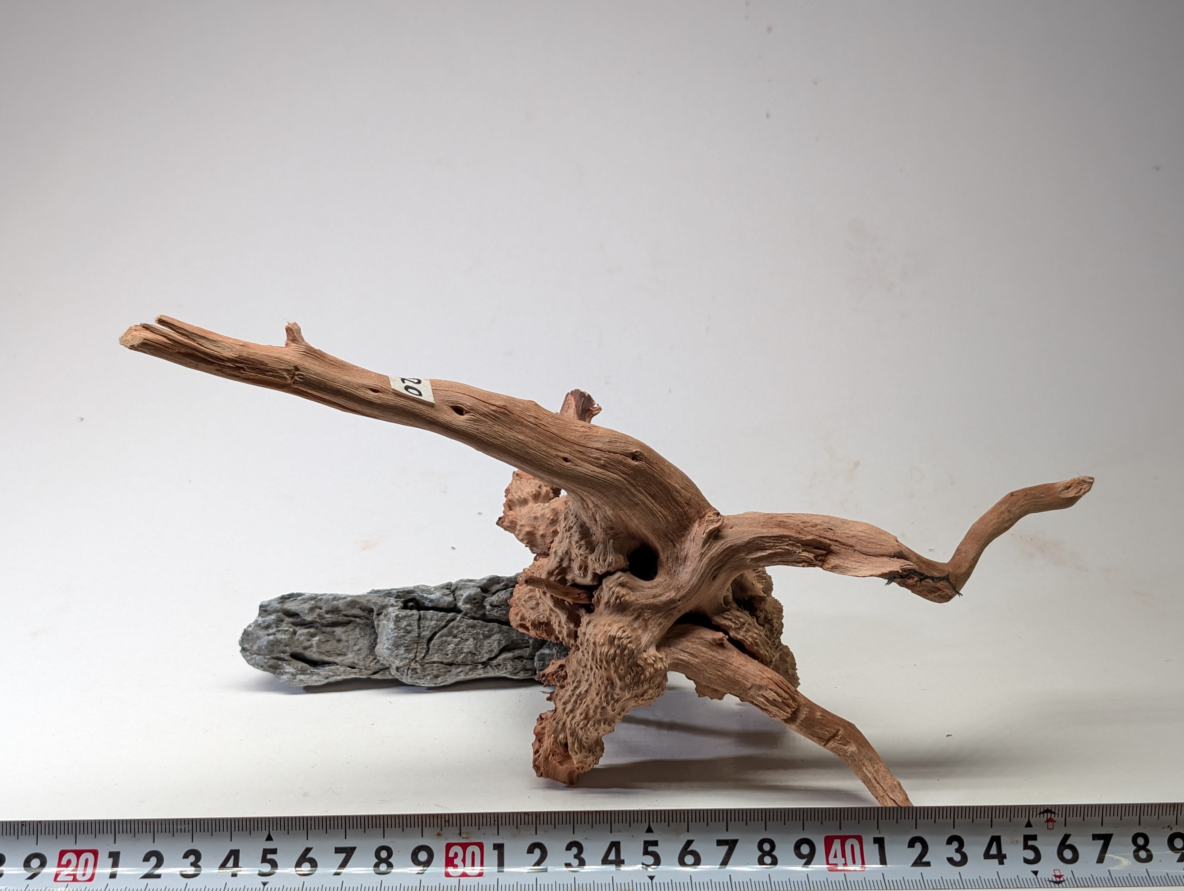 Aquarium gold vine driftwood L size 25-40cm