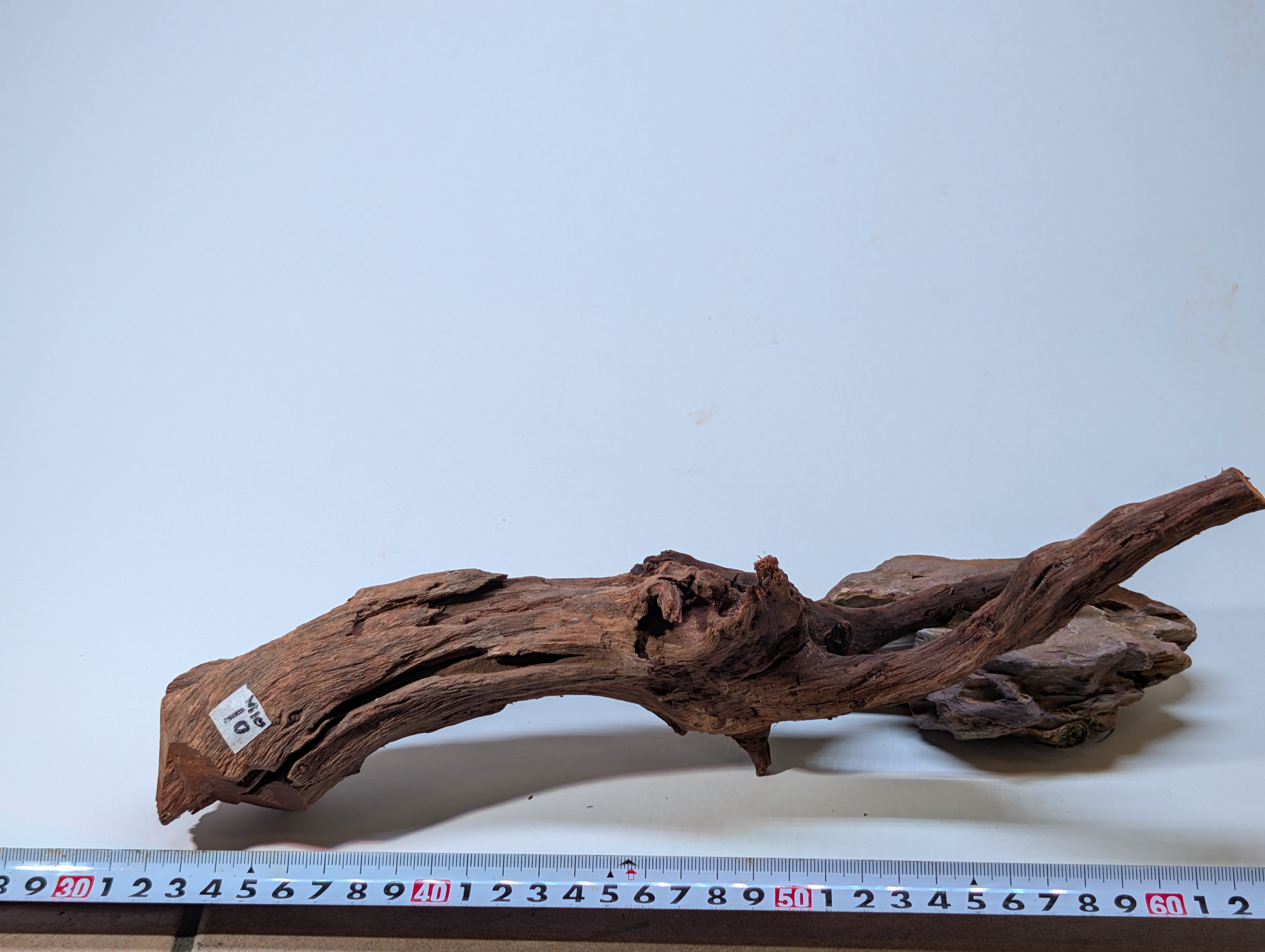 Aquarium Driftwood Mangrove