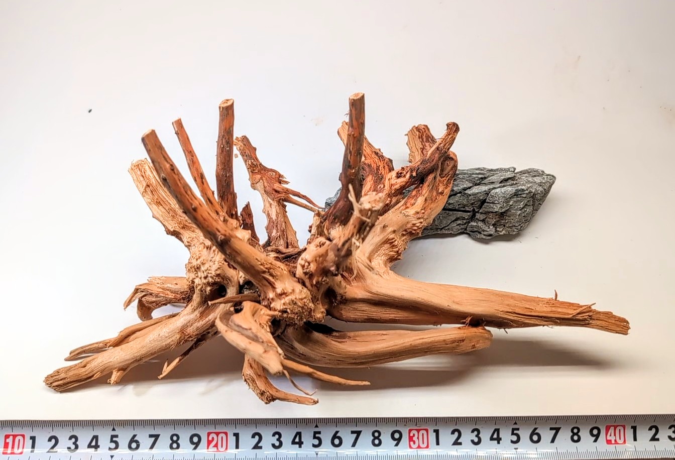 Aquarium gold vine driftwood  L size 25-40cm