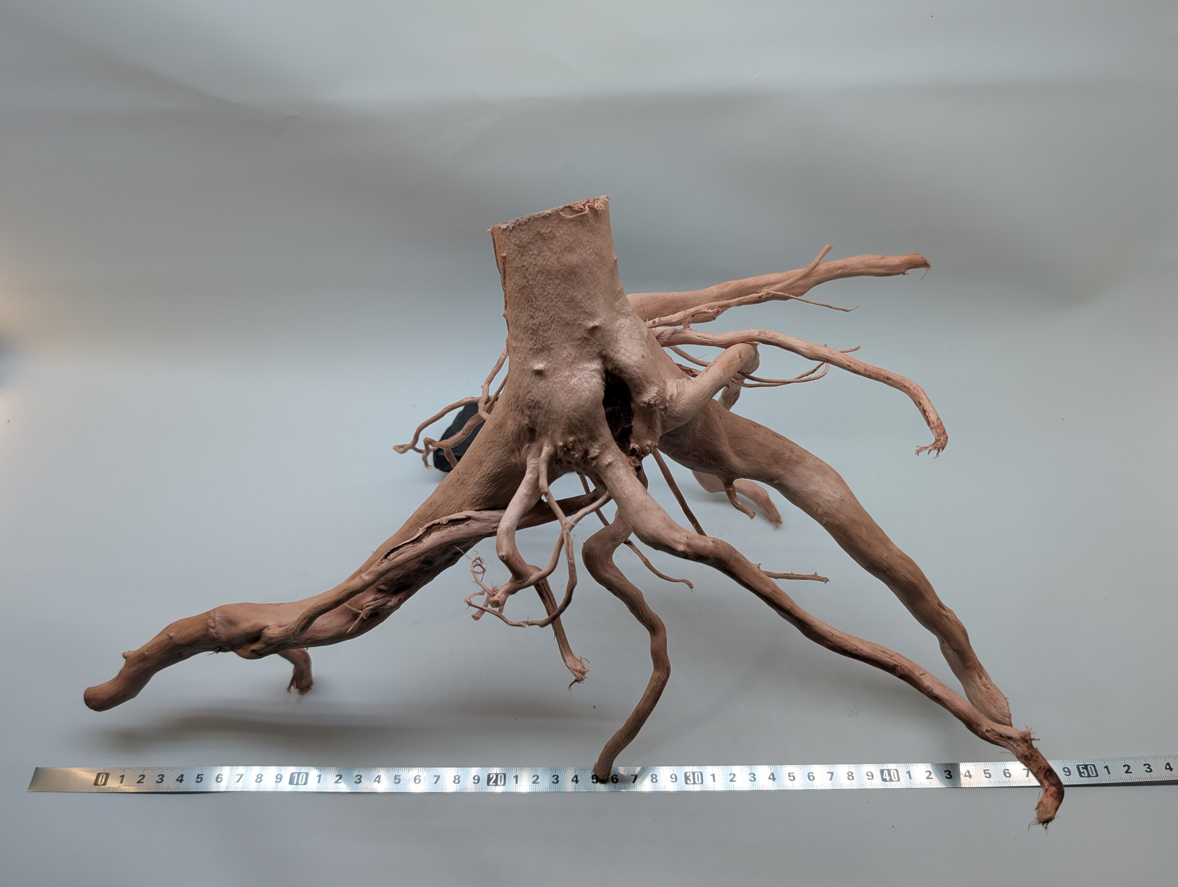 Aquarium Gold Vine driftwood  XL 40-60cm