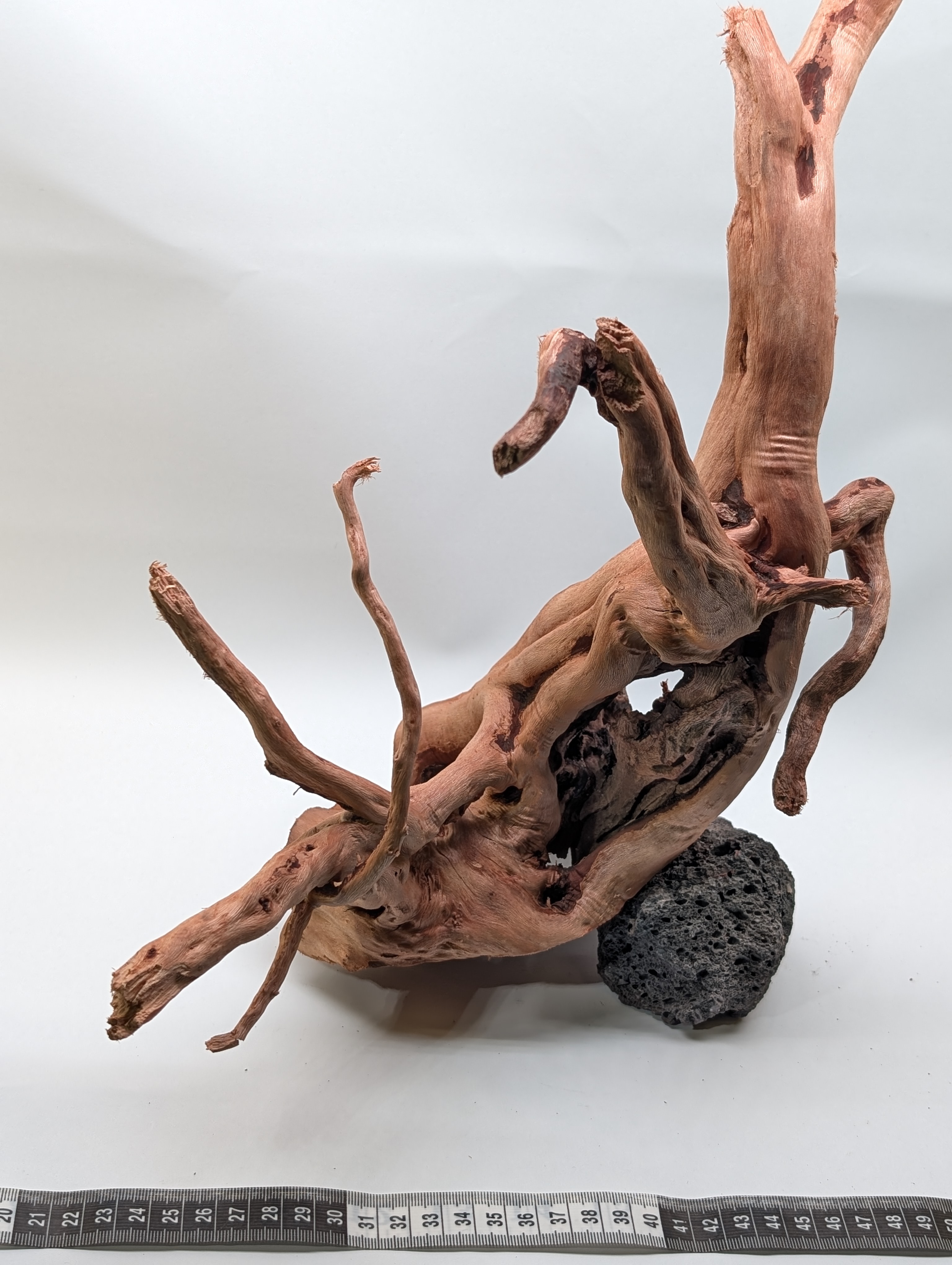 Aquarium Gold Vine driftwood  XL 40-60cm