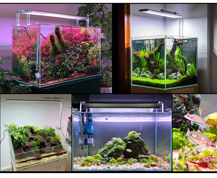 WEEKAQUA M Series RGB+UV spectrum mode led light Full spectrum 