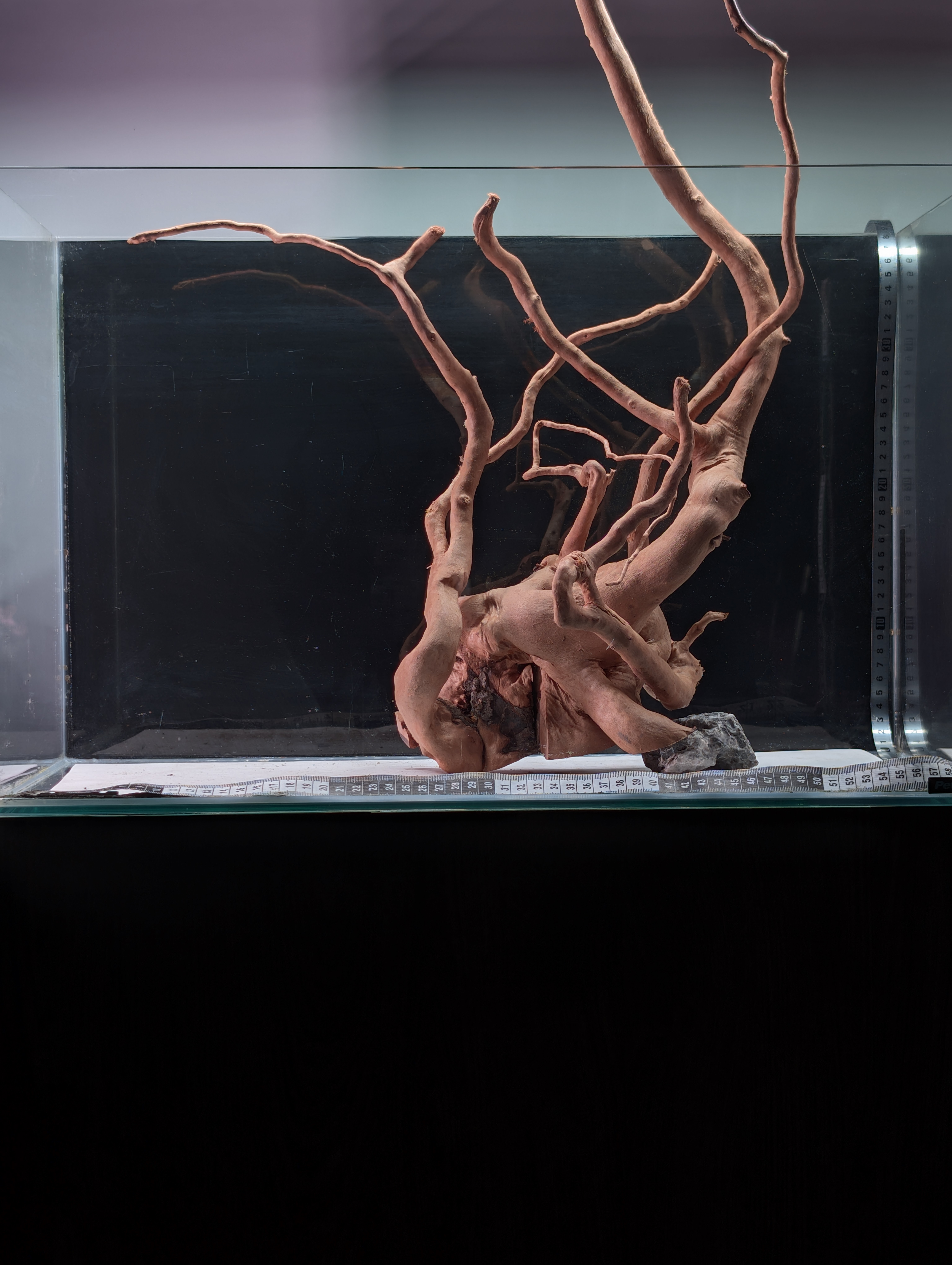 Aquarium Gold Vine driftwood  XL 40-60cm